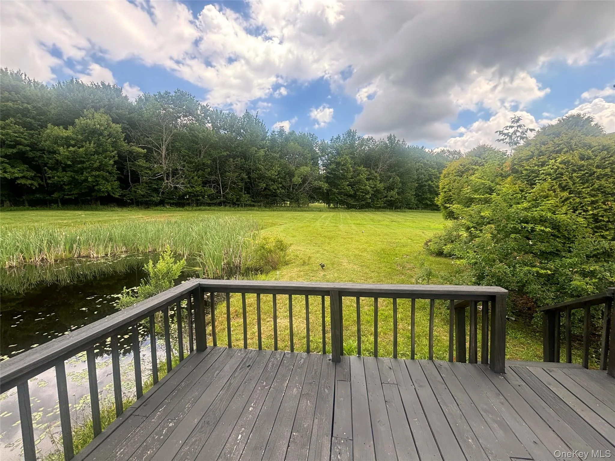 1013 Campbell Road, Franklin, NY, 4 Bedrooms Bedrooms, 9 Rooms Rooms,3 BathroomsBathrooms,Residential,For Rent,Campbell,0,KEY1018927 1013 Campbell Road, Franklin, NY, 4 Bedrooms Bedrooms, 9 Rooms Rooms,3 BathroomsBathrooms,Residential,For Rent,Campbell,0,KEY1018927