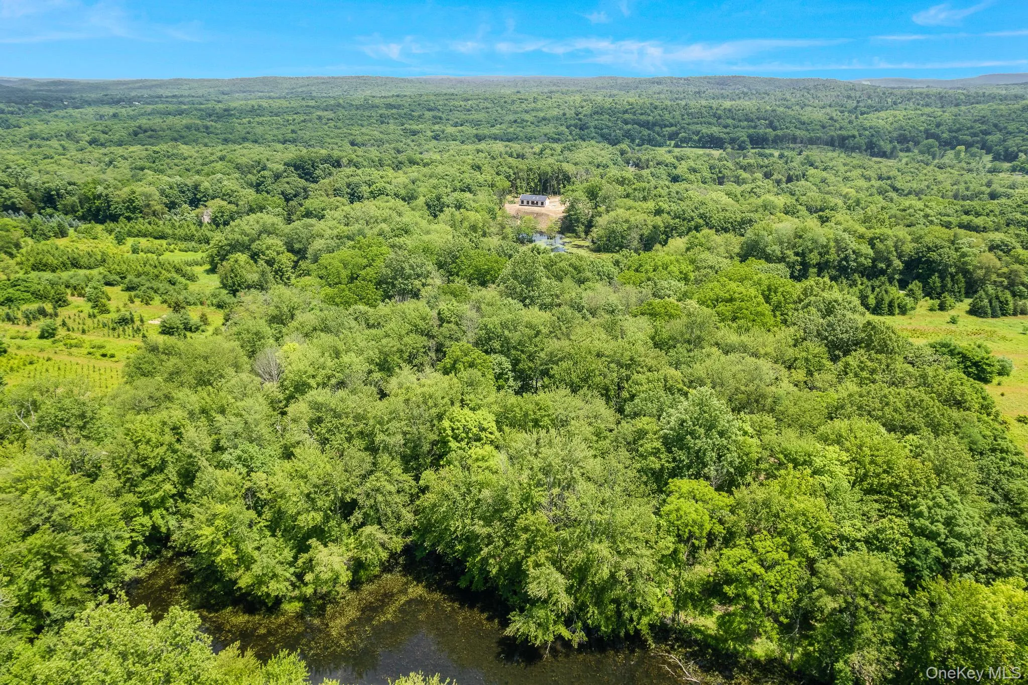 625 Traver Road, Pleasant Valley, NY, 3 Bedrooms Bedrooms, 6 Rooms Rooms,2 BathroomsBathrooms,Residential,For Rent,Traver,0,1018948 625 Traver Road, Pleasant Valley, NY, 3 Bedrooms Bedrooms, 6 Rooms Rooms,2 BathroomsBathrooms,Residential,For Rent,Traver,0,1018948