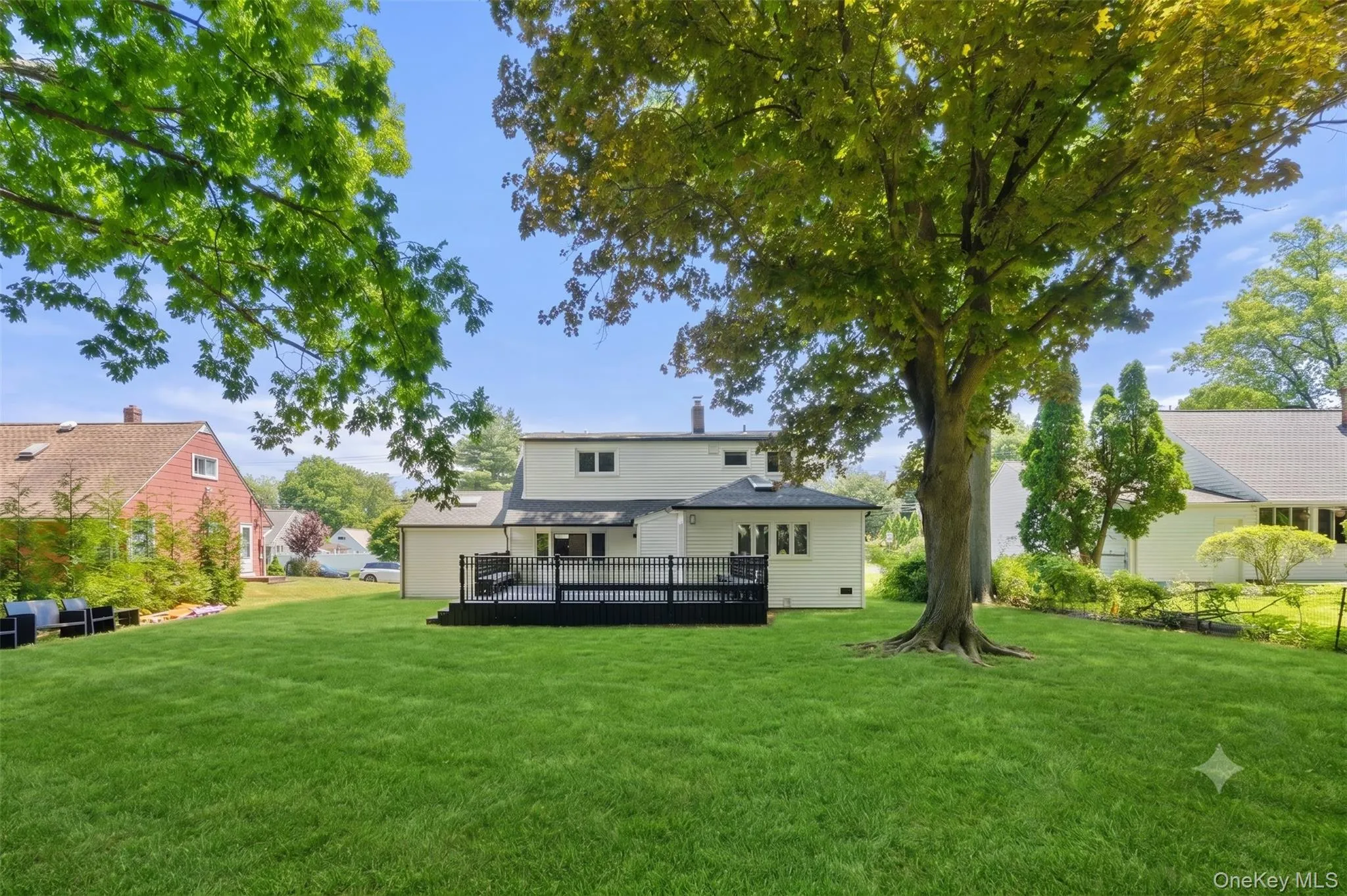 Large backyard Large backyard