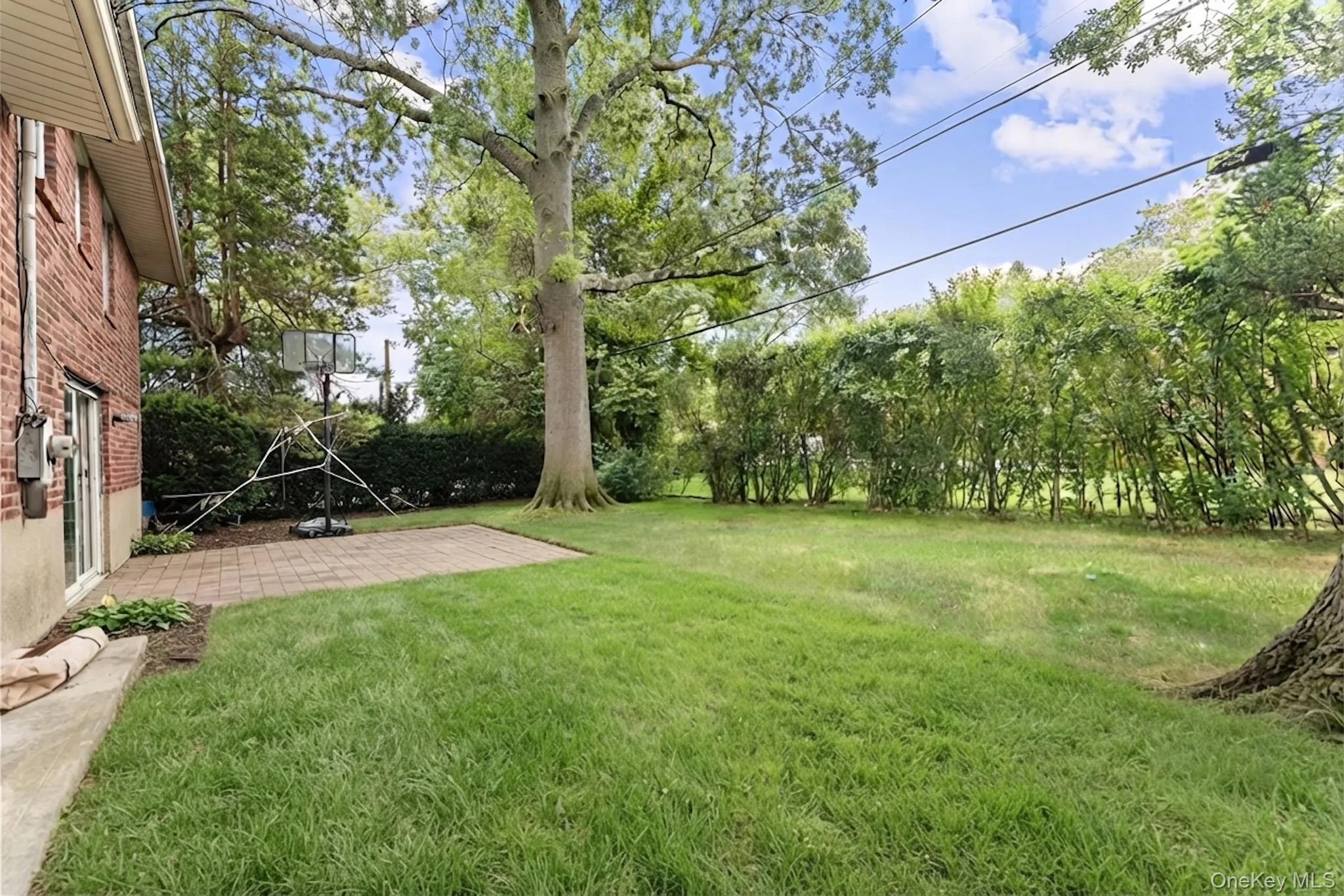 9 Ash Place, North Hempstead, NY, 5 Bedrooms Bedrooms, 11 Rooms Rooms,3 BathroomsBathrooms,Residential,For Rent,Ash,0,1019019 9 Ash Place, North Hempstead, NY, 5 Bedrooms Bedrooms, 11 Rooms Rooms,3 BathroomsBathrooms,Residential,For Rent,Ash,0,1019019