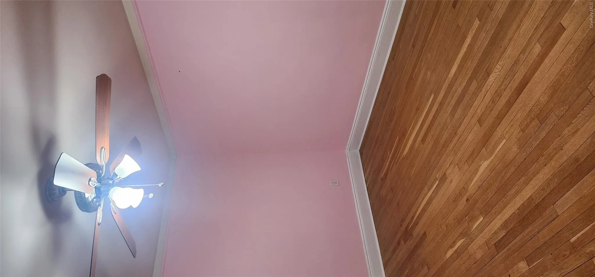 59 Bainton Street, Yonkers, NY, 2 Bedrooms Bedrooms, 5 Rooms Rooms,1 BathroomBathrooms,Residential Lease,For Rent,Bainton,0,1019038 59 Bainton Street, Yonkers, NY, 2 Bedrooms Bedrooms, 5 Rooms Rooms,1 BathroomBathrooms,Residential Lease,For Rent,Bainton,0,1019038