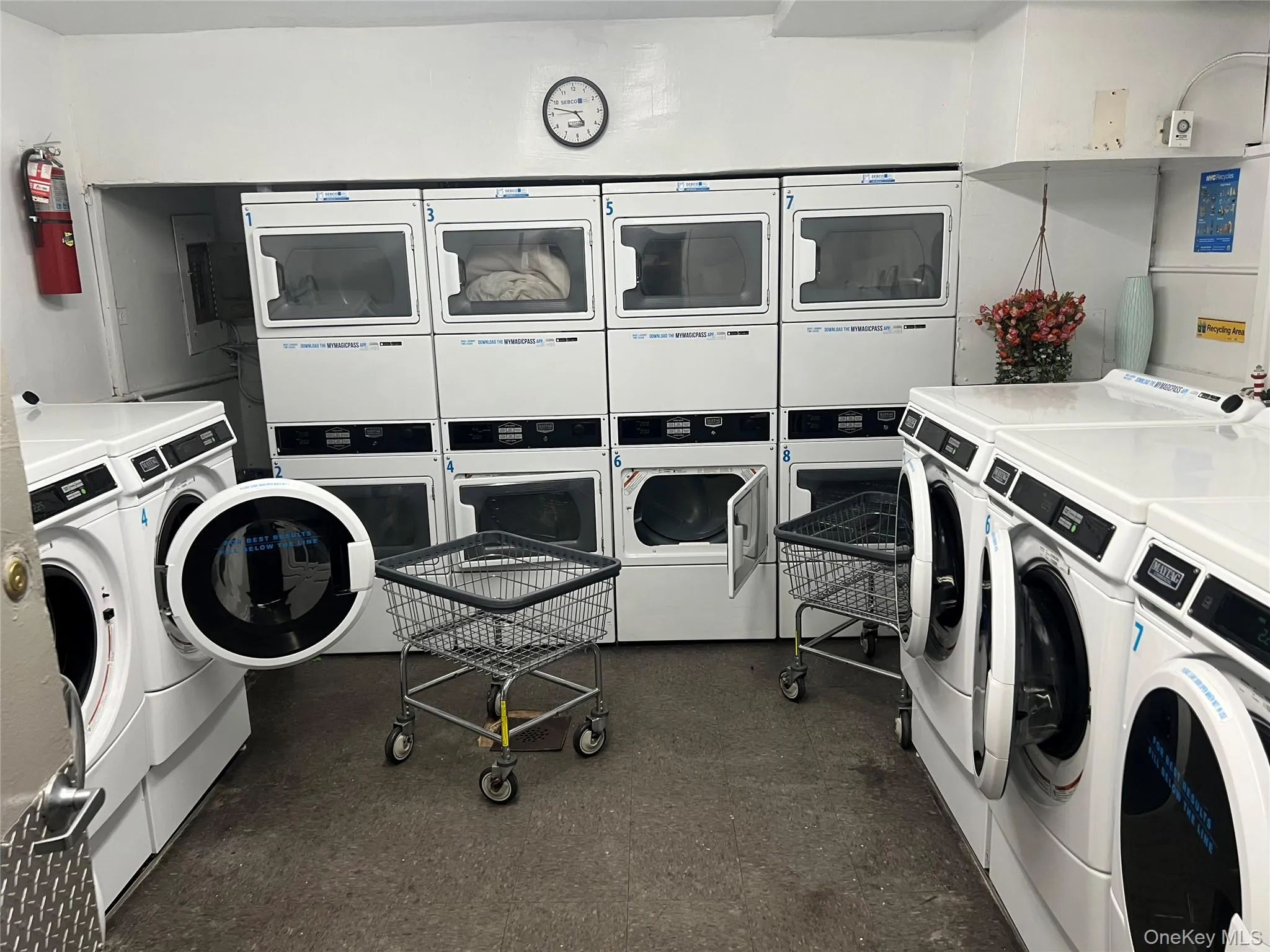 84-70 129th Street, New York, NY, 2 Bedrooms Bedrooms, 5 Rooms Rooms,1 BathroomBathrooms,Residential,For Rent,129th,0,1019046 84-70 129th Street, New York, NY, 2 Bedrooms Bedrooms, 5 Rooms Rooms,1 BathroomBathrooms,Residential,For Rent,129th,0,1019046