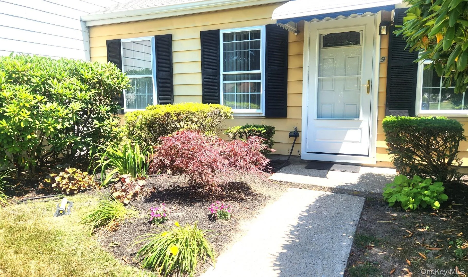9 Freedom Lane, Brookhaven, NY, 1 Bedroom Bedrooms, 4 Rooms Rooms,1 BathroomBathrooms,Residential,For Rent,Freedom,0,KEY1019048 9 Freedom Lane, Brookhaven, NY, 1 Bedroom Bedrooms, 4 Rooms Rooms,1 BathroomBathrooms,Residential,For Rent,Freedom,0,KEY1019048