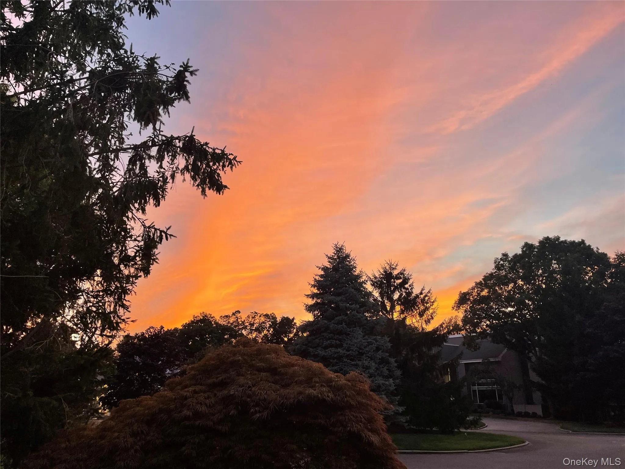 9 Crick Holly Lane, Islip, NY, 5 Bedrooms Bedrooms, 10 Rooms Rooms,2 BathroomsBathrooms,Residential,For Rent,Crick Holly,0,1019052 9 Crick Holly Lane, Islip, NY, 5 Bedrooms Bedrooms, 10 Rooms Rooms,2 BathroomsBathrooms,Residential,For Rent,Crick Holly,0,1019052