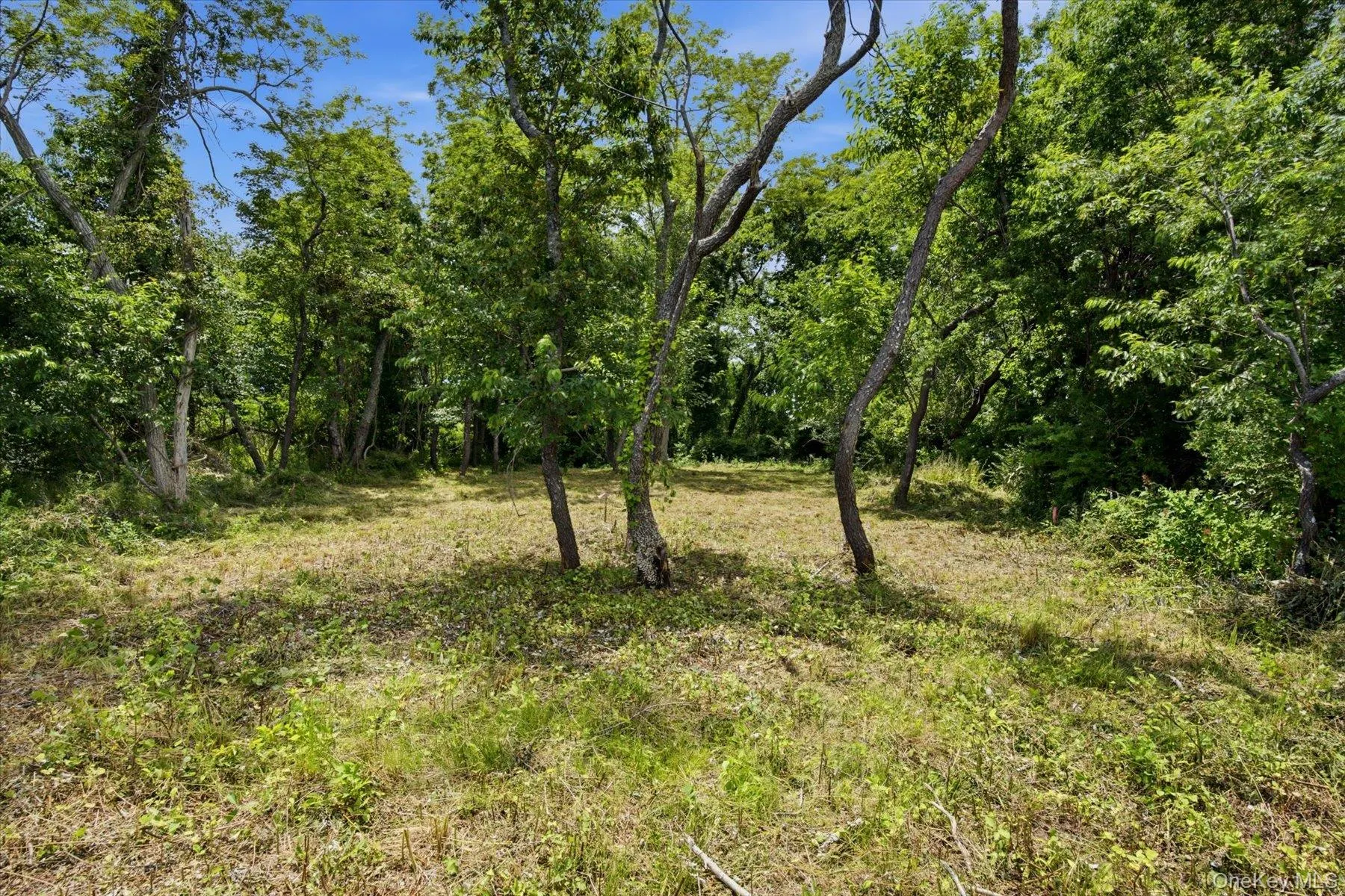 75 Pettys Drive, Southold, NY, ,Land,For Rent,Pettys,0,1019090 75 Pettys Drive, Southold, NY, ,Land,For Rent,Pettys,0,1019090