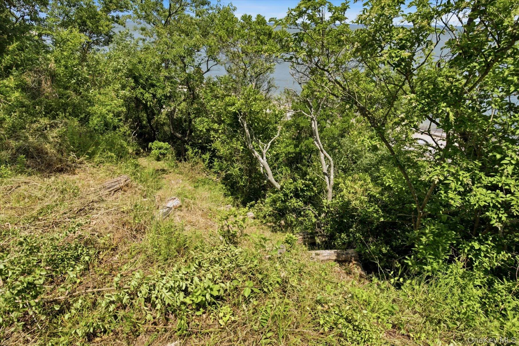 75 Pettys Drive, Southold, NY, ,Land,For Rent,Pettys,0,1019090 75 Pettys Drive, Southold, NY, ,Land,For Rent,Pettys,0,1019090