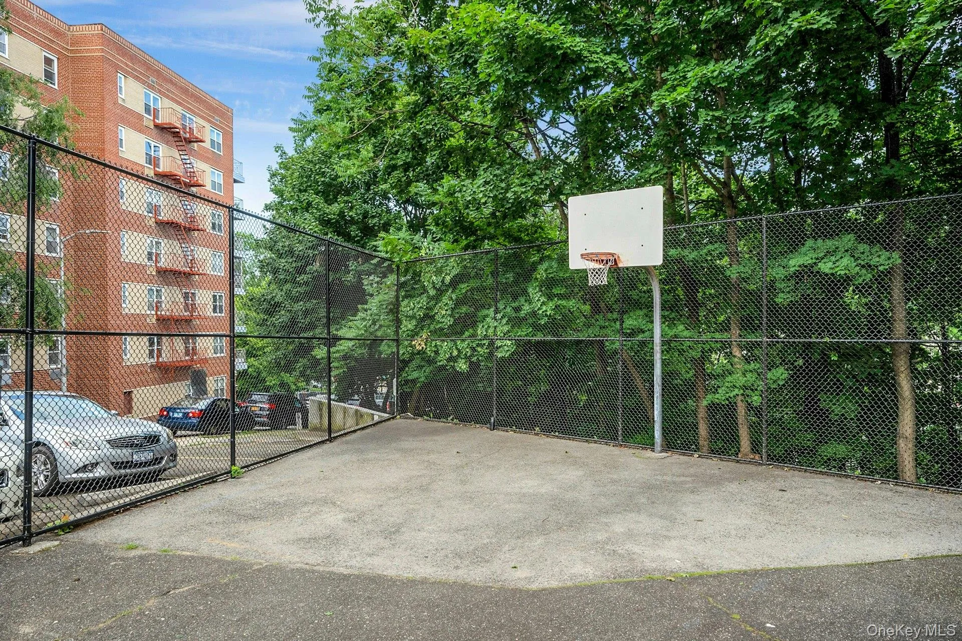 Half Basketball Court Half Basketball Court