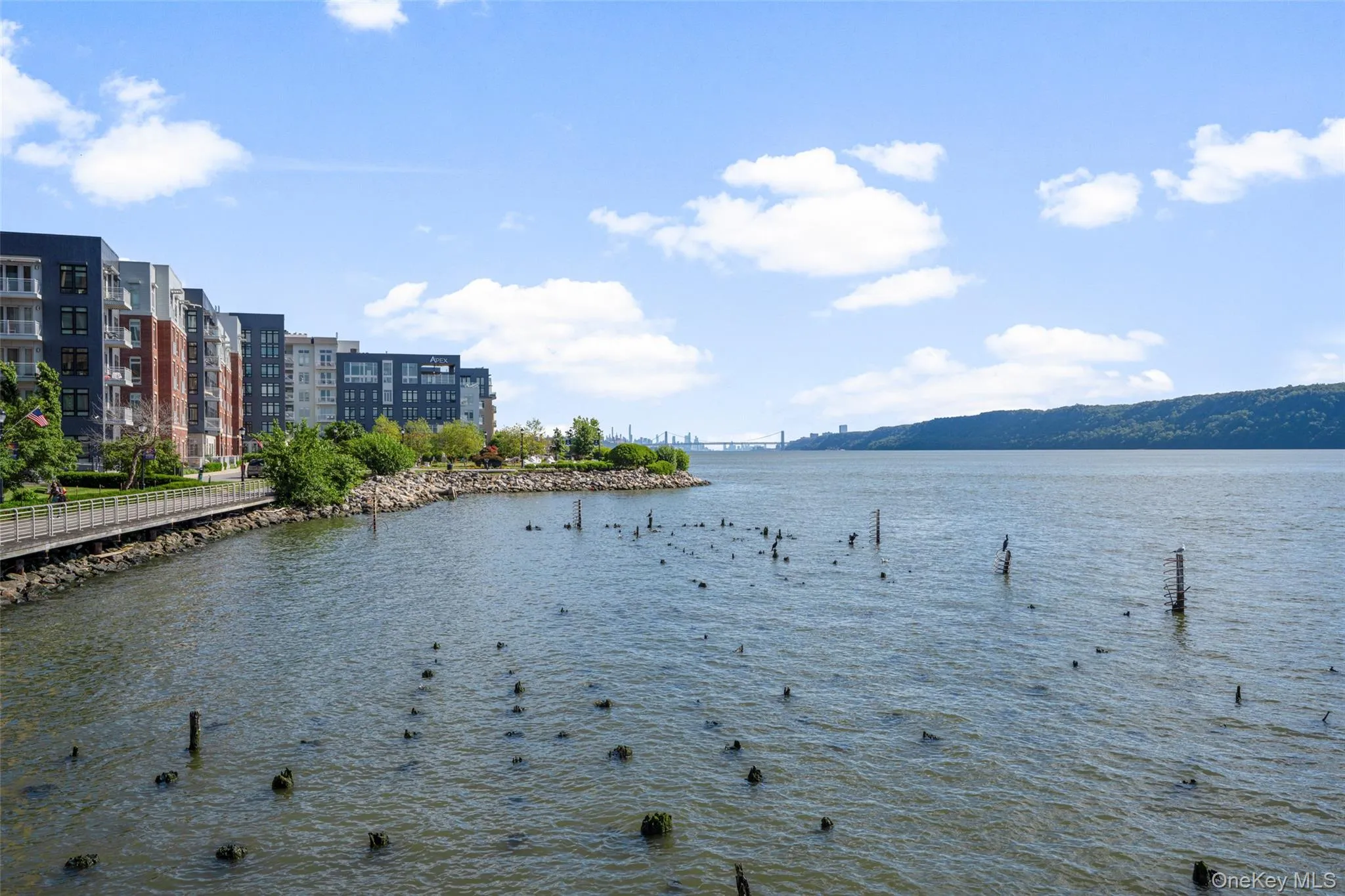 23 Water Grant Street, Yonkers, NY, 2 Bedrooms Bedrooms, 4 Rooms Rooms,1 BathroomBathrooms,Residential,For Rent,Water Grant,0,1019119 23 Water Grant Street, Yonkers, NY, 2 Bedrooms Bedrooms, 4 Rooms Rooms,1 BathroomBathrooms,Residential,For Rent,Water Grant,0,1019119