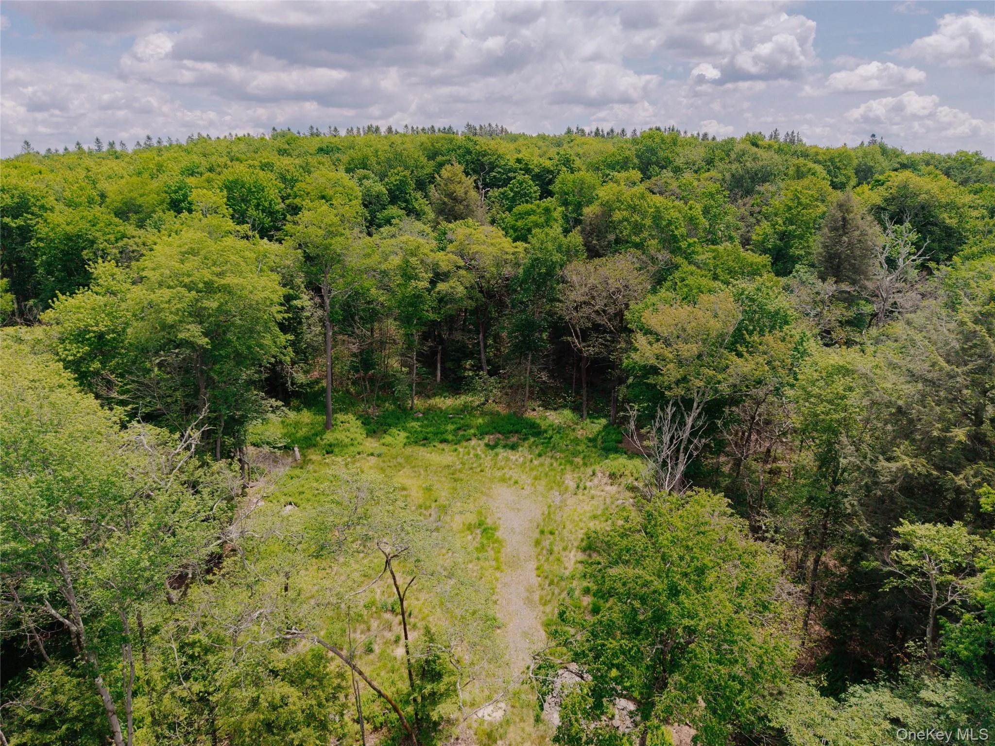 TBD Church Lake Road, Callicoon, NY, ,Land,For Rent,Church Lake,0,1019122 TBD Church Lake Road, Callicoon, NY, ,Land,For Rent,Church Lake,0,1019122