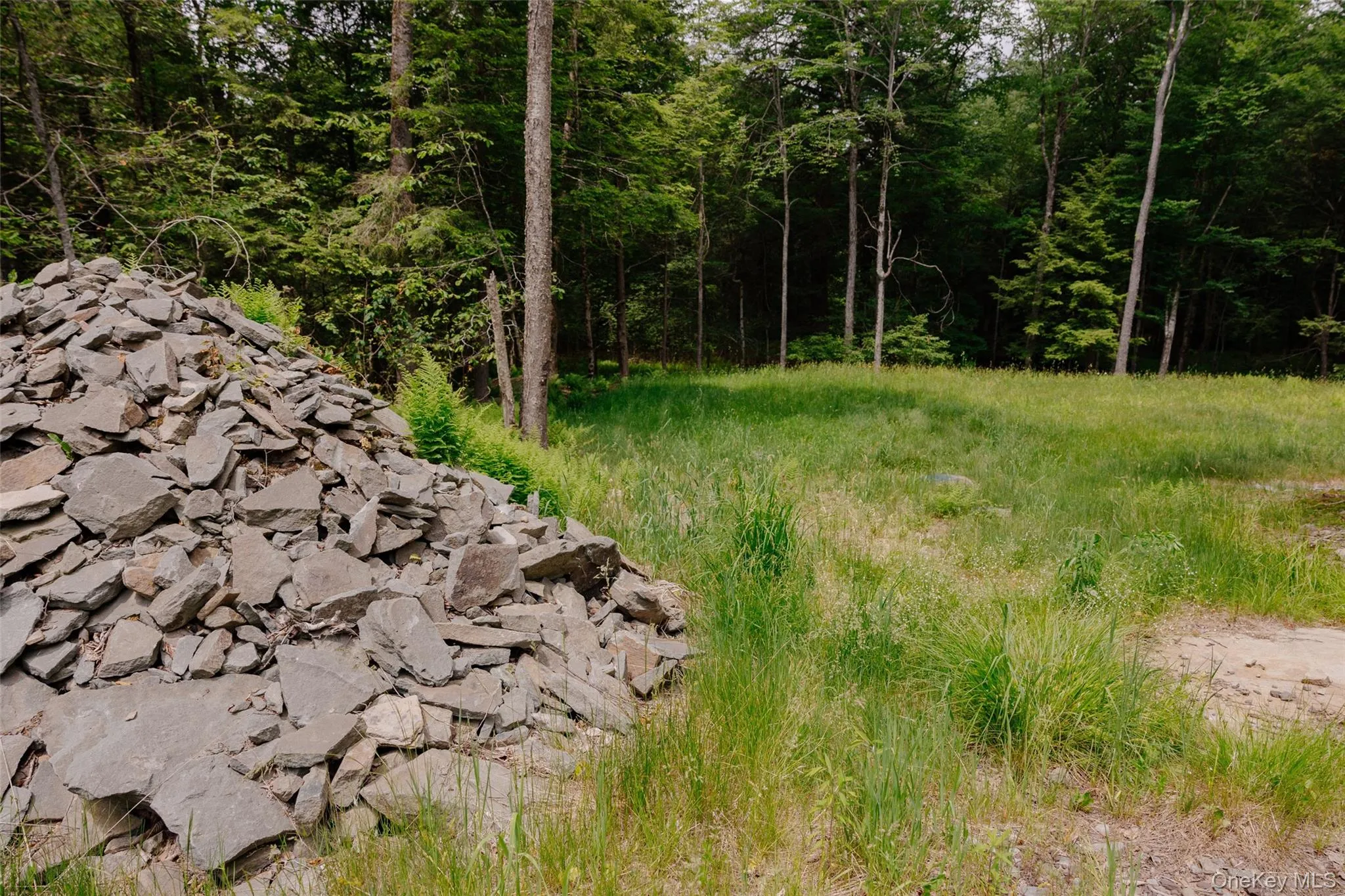 TBD Church Lake Road, Callicoon, NY, ,Land,For Rent,Church Lake,0,1019122 TBD Church Lake Road, Callicoon, NY, ,Land,For Rent,Church Lake,0,1019122