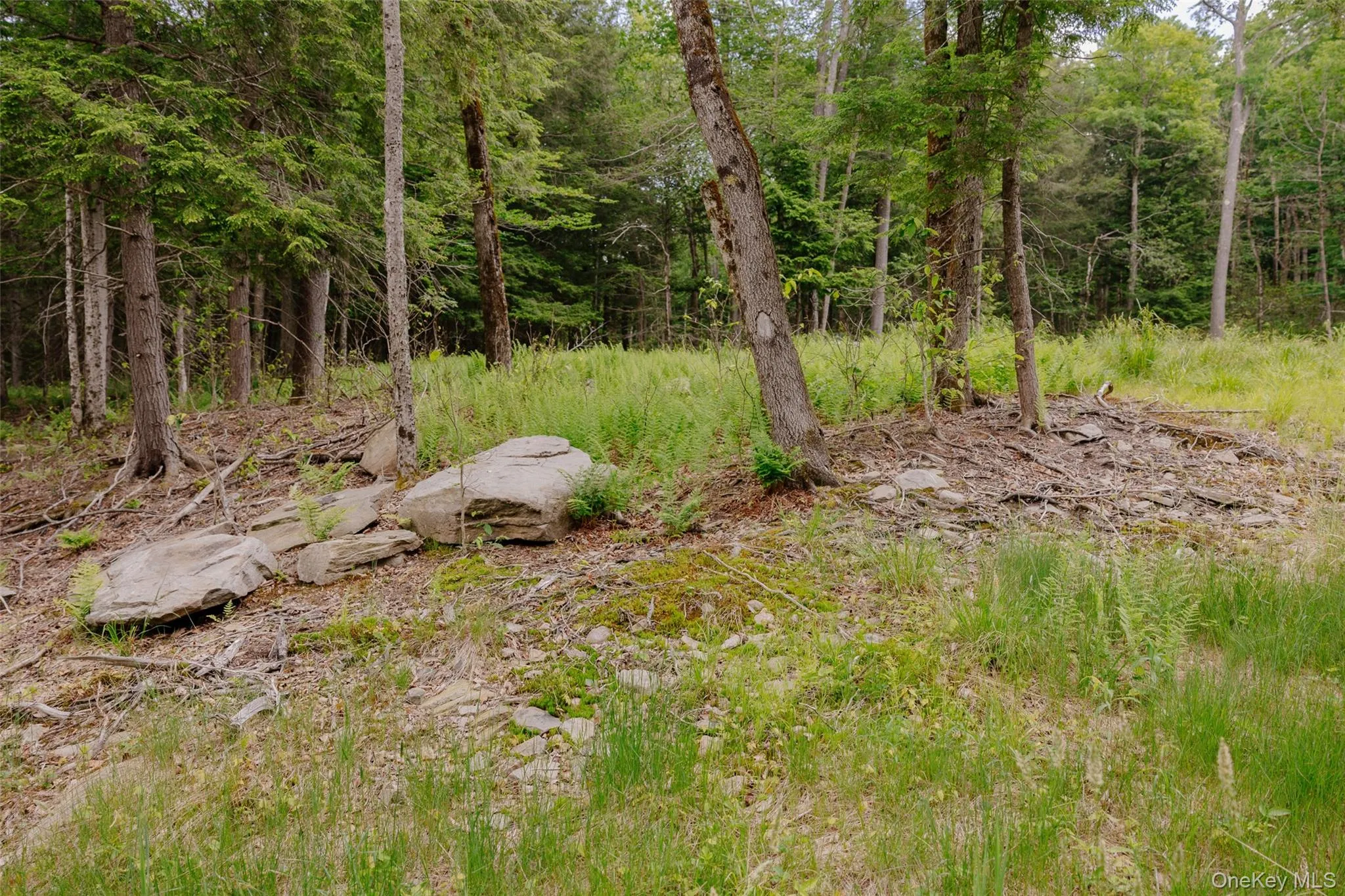 TBD Church Lake Road, Callicoon, NY, ,Land,For Rent,Church Lake,0,1019122 TBD Church Lake Road, Callicoon, NY, ,Land,For Rent,Church Lake,0,1019122