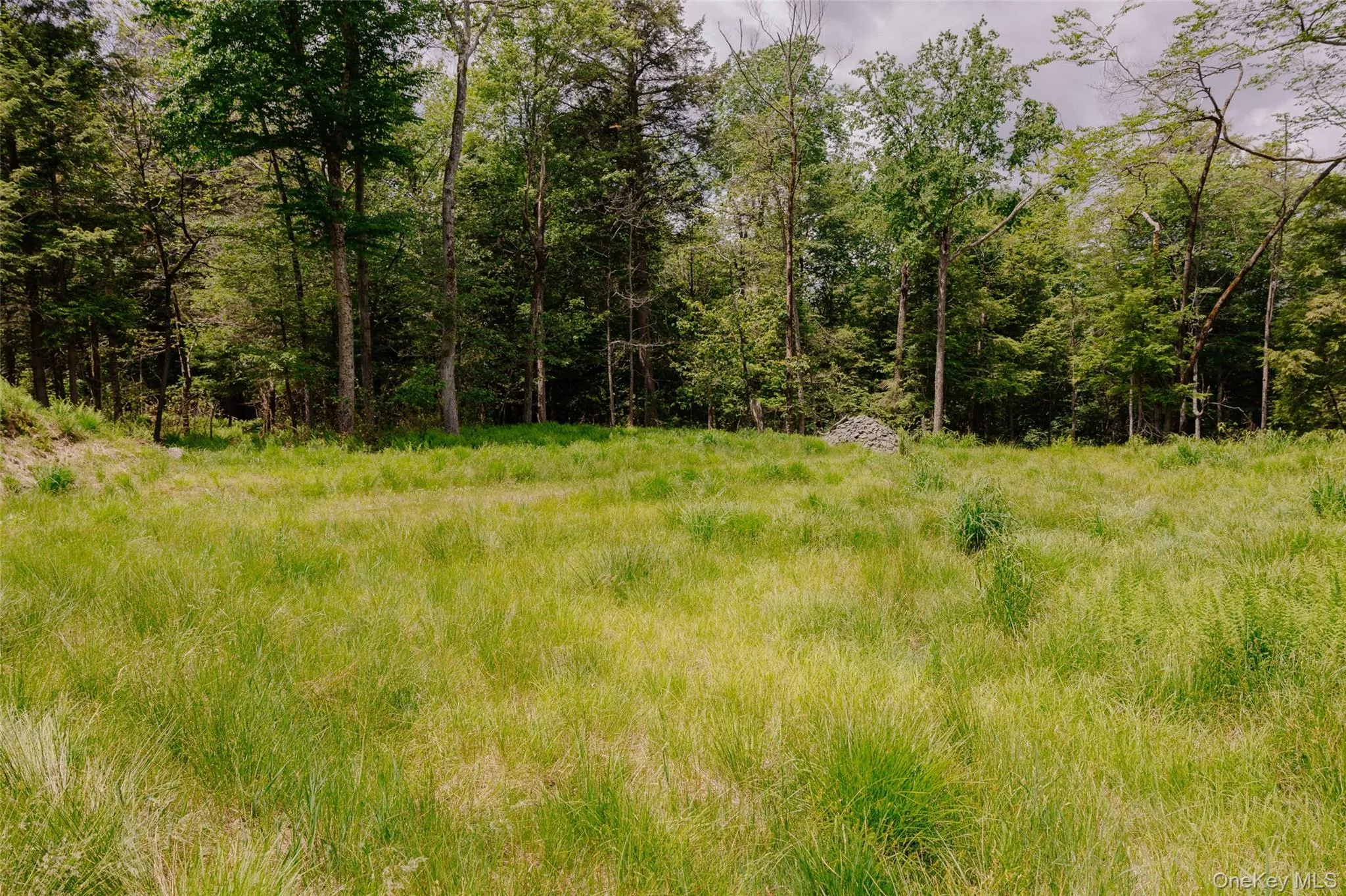 TBD Church Lake Road, Callicoon, NY, ,Land,For Rent,Church Lake,0,1019122 TBD Church Lake Road, Callicoon, NY, ,Land,For Rent,Church Lake,0,1019122