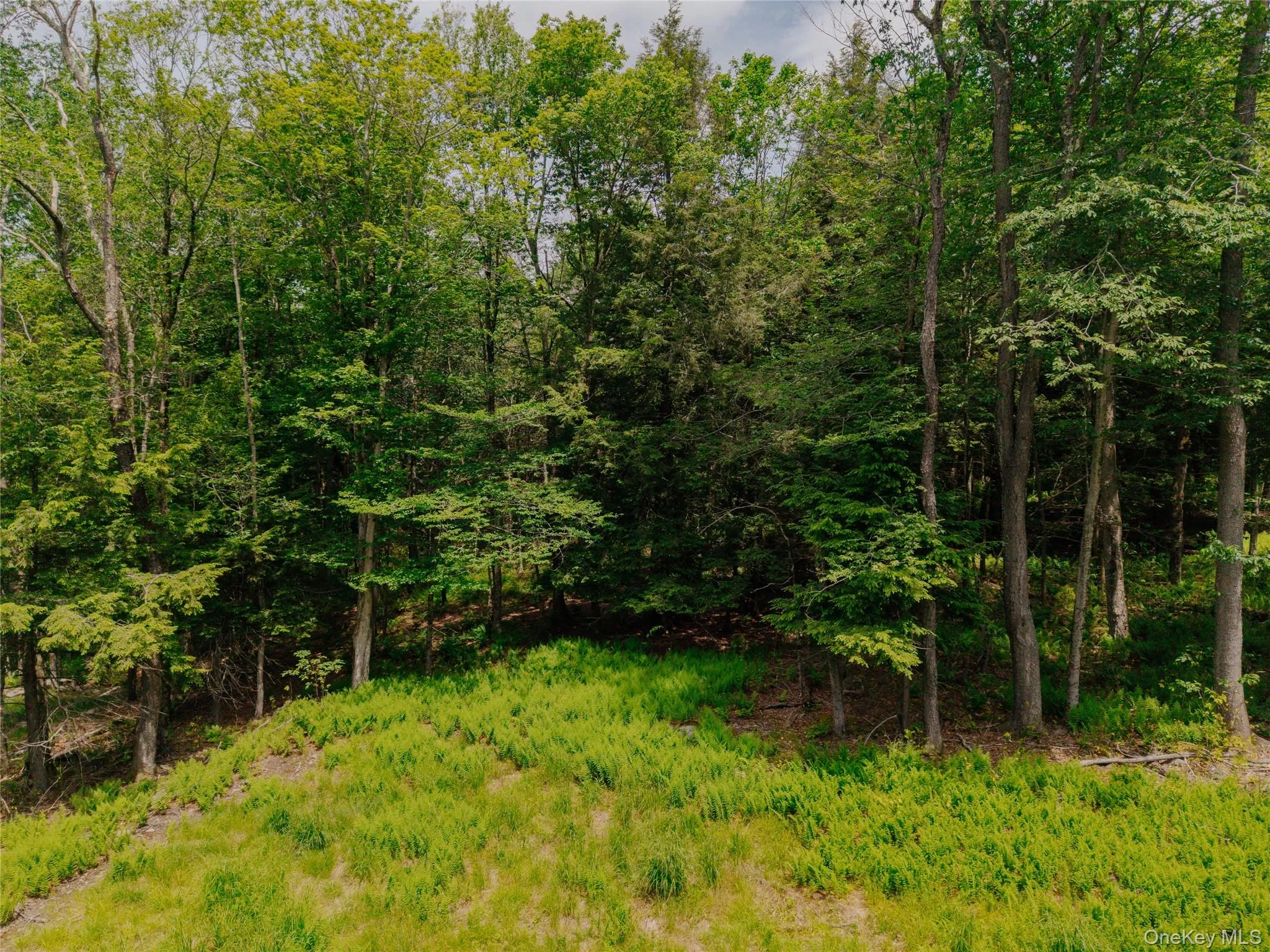 TBD Church Lake Road, Callicoon, NY, ,Land,For Rent,Church Lake,0,1019122 TBD Church Lake Road, Callicoon, NY, ,Land,For Rent,Church Lake,0,1019122
