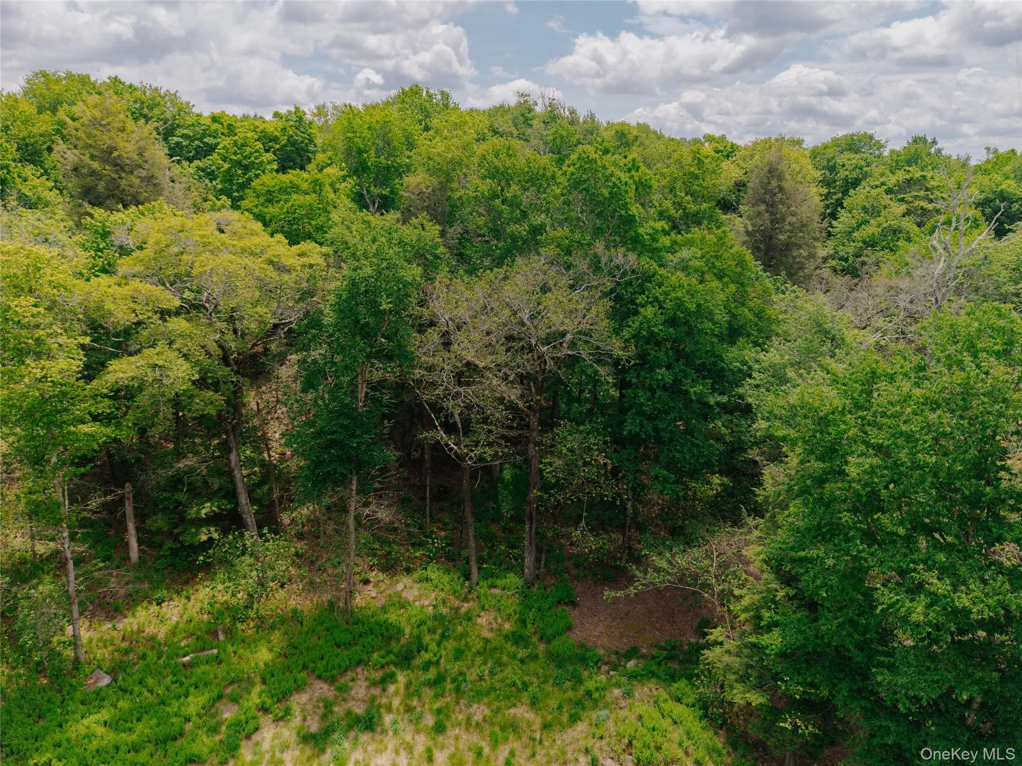 TBD Church Lake Road, Callicoon, NY, ,Land,For Rent,Church Lake,0,1019122 TBD Church Lake Road, Callicoon, NY, ,Land,For Rent,Church Lake,0,1019122