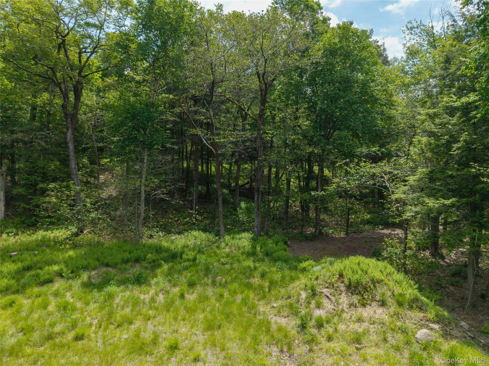 TBD Church Lake Road, Callicoon, NY, ,Land,For Rent,Church Lake,0,1019122 TBD Church Lake Road, Callicoon, NY, ,Land,For Rent,Church Lake,0,1019122