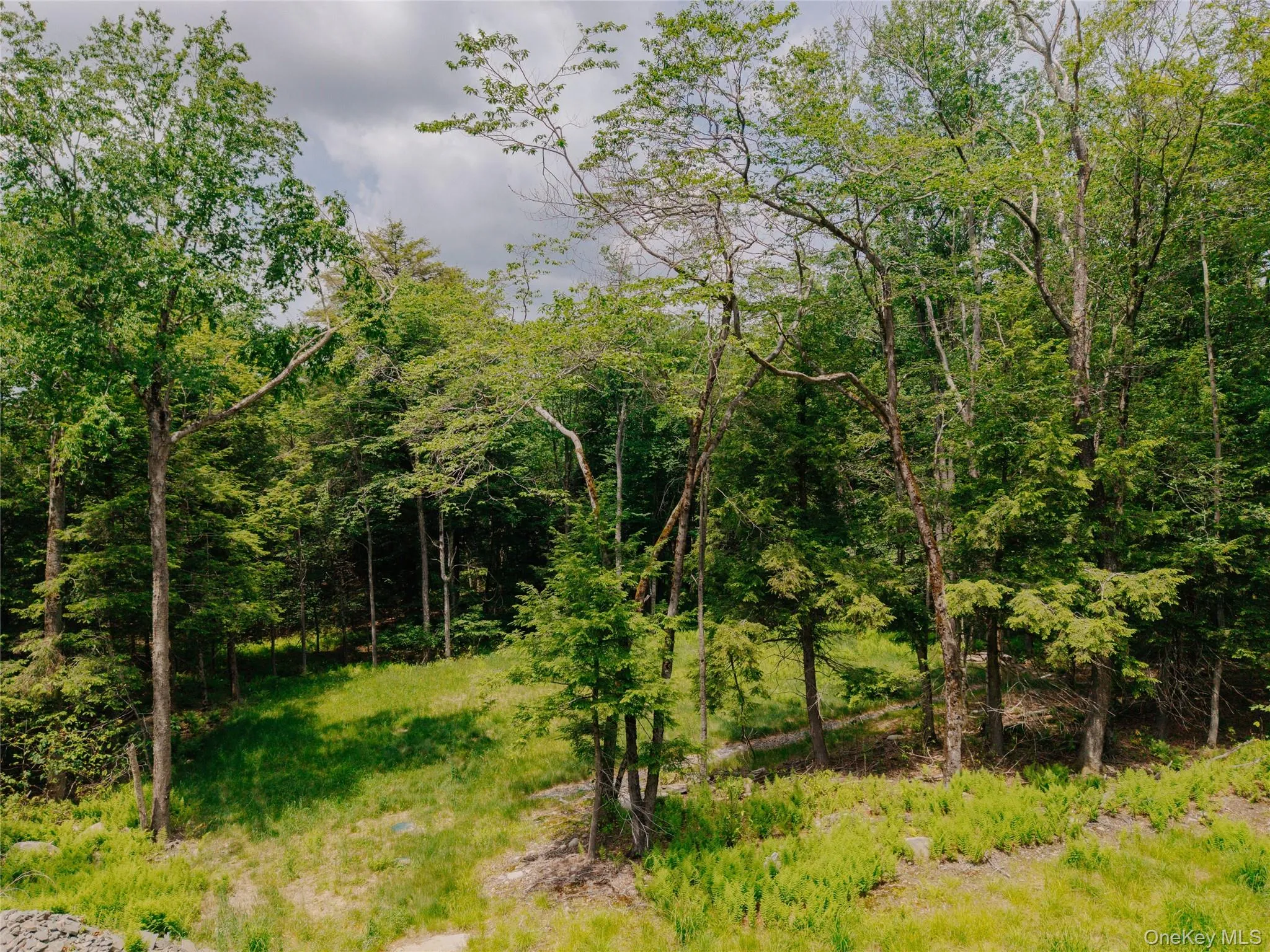 TBD Church Lake Road, Callicoon, NY, ,Land,For Rent,Church Lake,0,1019122 TBD Church Lake Road, Callicoon, NY, ,Land,For Rent,Church Lake,0,1019122