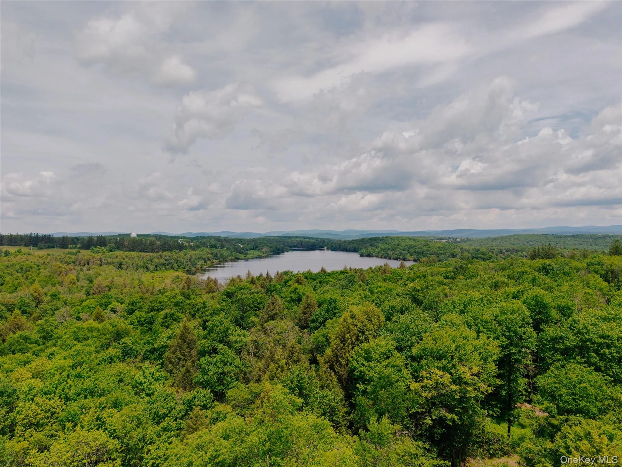 TBD Church Lake Road, Callicoon, NY, ,Land,For Rent,Church Lake,0,1019122 TBD Church Lake Road, Callicoon, NY, ,Land,For Rent,Church Lake,0,1019122