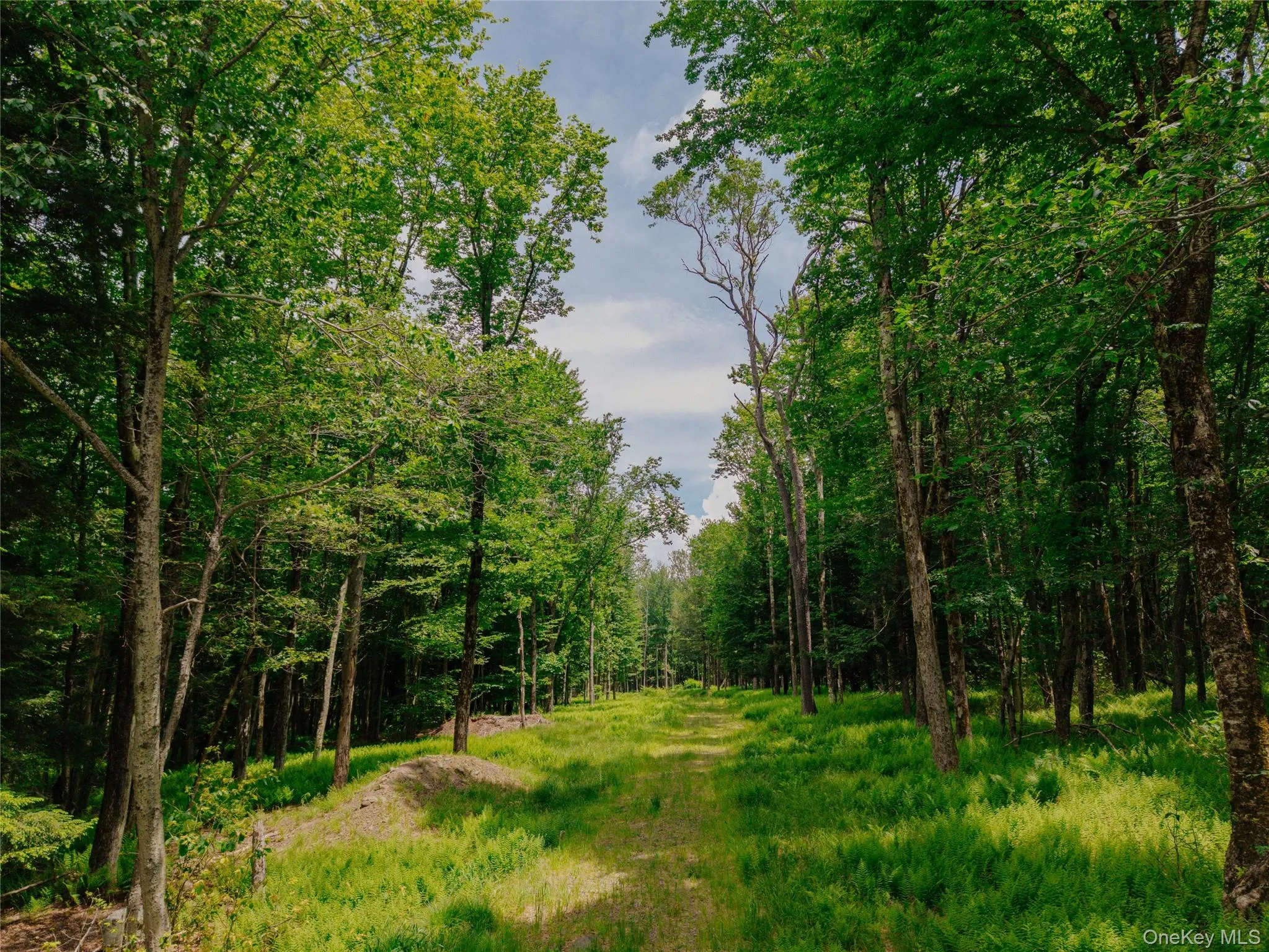 TBD Church Lake Road, Callicoon, NY, ,Land,For Rent,Church Lake,0,1019122 TBD Church Lake Road, Callicoon, NY, ,Land,For Rent,Church Lake,0,1019122