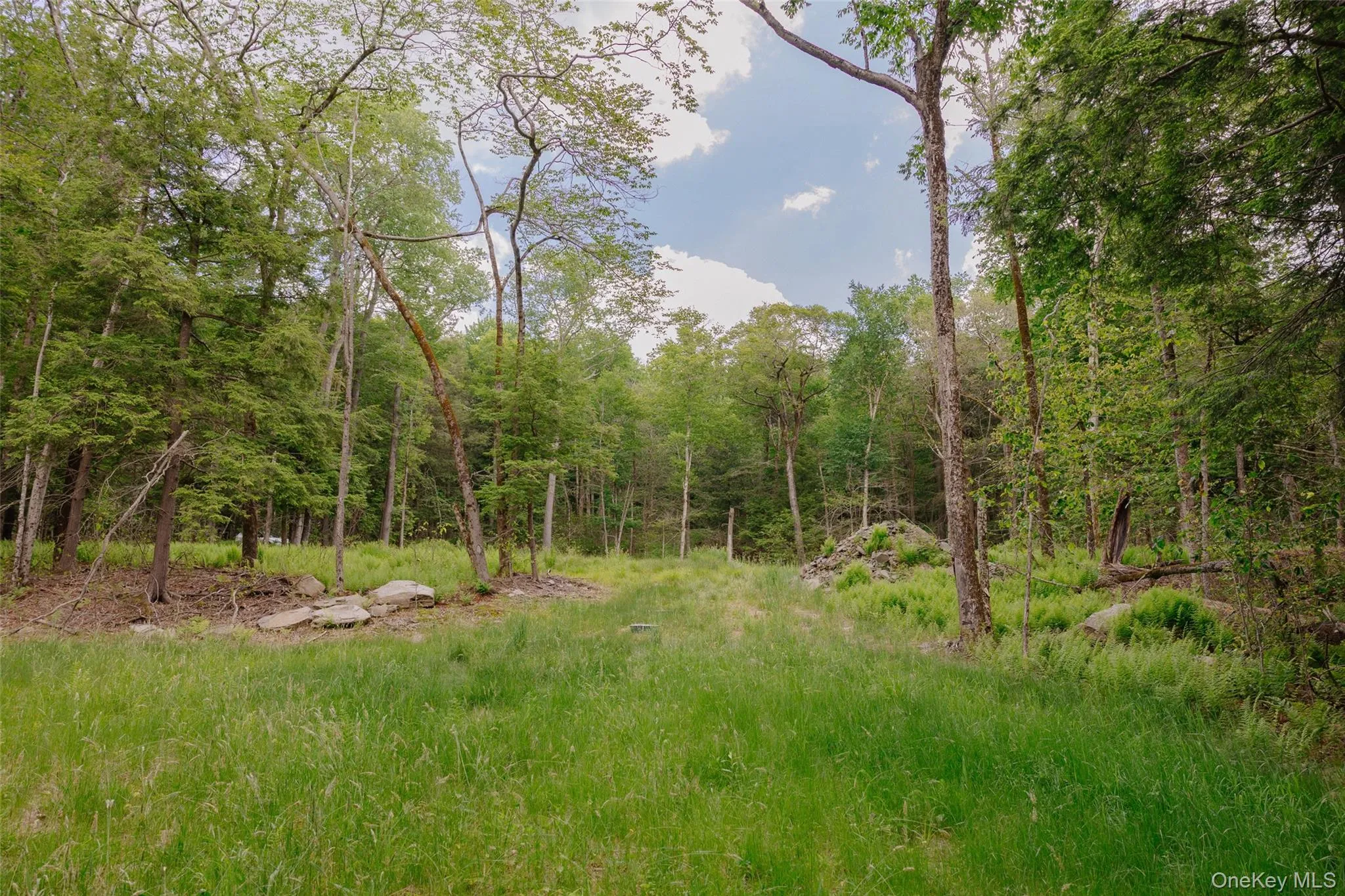 TBD Church Lake Road, Callicoon, NY, ,Land,For Rent,Church Lake,0,1019122 TBD Church Lake Road, Callicoon, NY, ,Land,For Rent,Church Lake,0,1019122