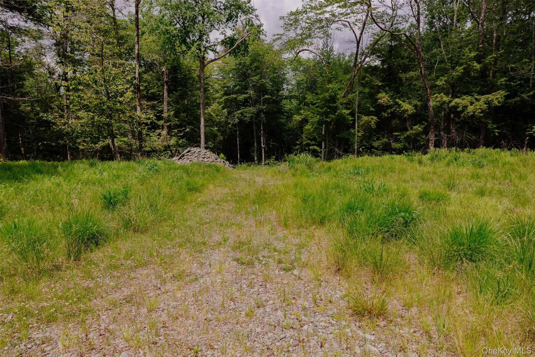 TBD Church Lake Road, Callicoon, NY, ,Land,For Rent,Church Lake,0,1019122 TBD Church Lake Road, Callicoon, NY, ,Land,For Rent,Church Lake,0,1019122