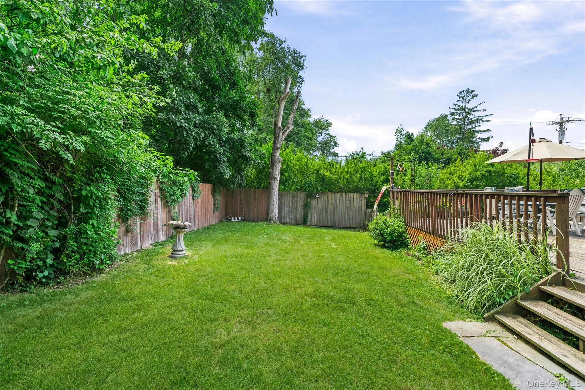 backyard backyard