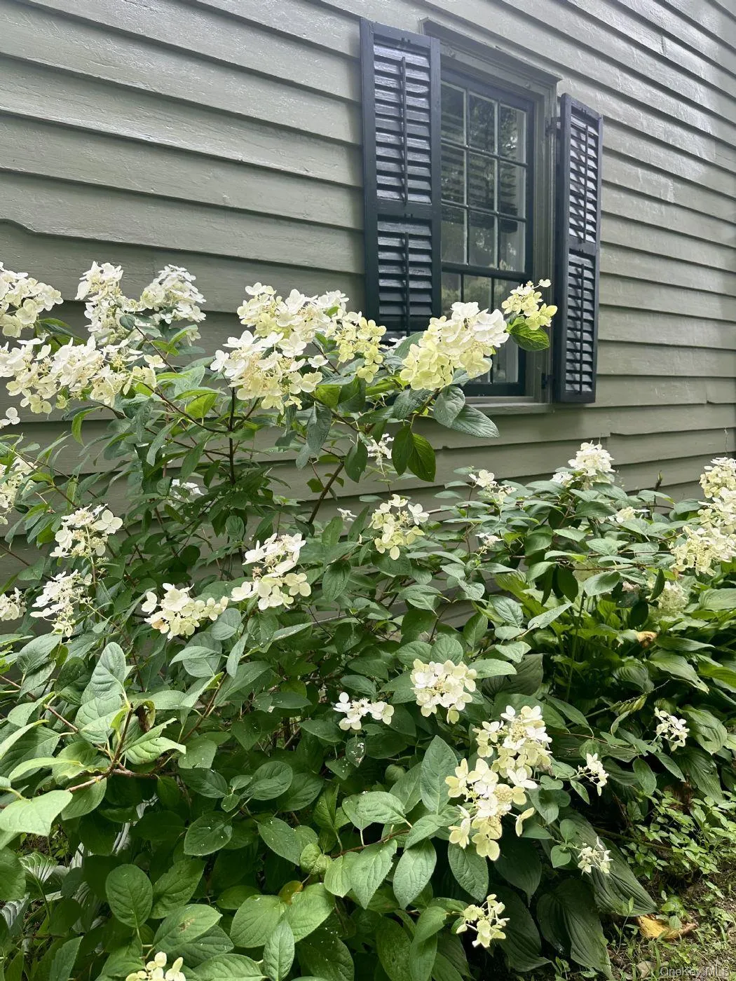 5012 Albany Post, Hyde Park, NY, 3 Bedrooms Bedrooms, 7 Rooms Rooms,2 BathroomsBathrooms,Residential,For Rent,Albany Post,0,1019148 5012 Albany Post, Hyde Park, NY, 3 Bedrooms Bedrooms, 7 Rooms Rooms,2 BathroomsBathrooms,Residential,For Rent,Albany Post,0,1019148