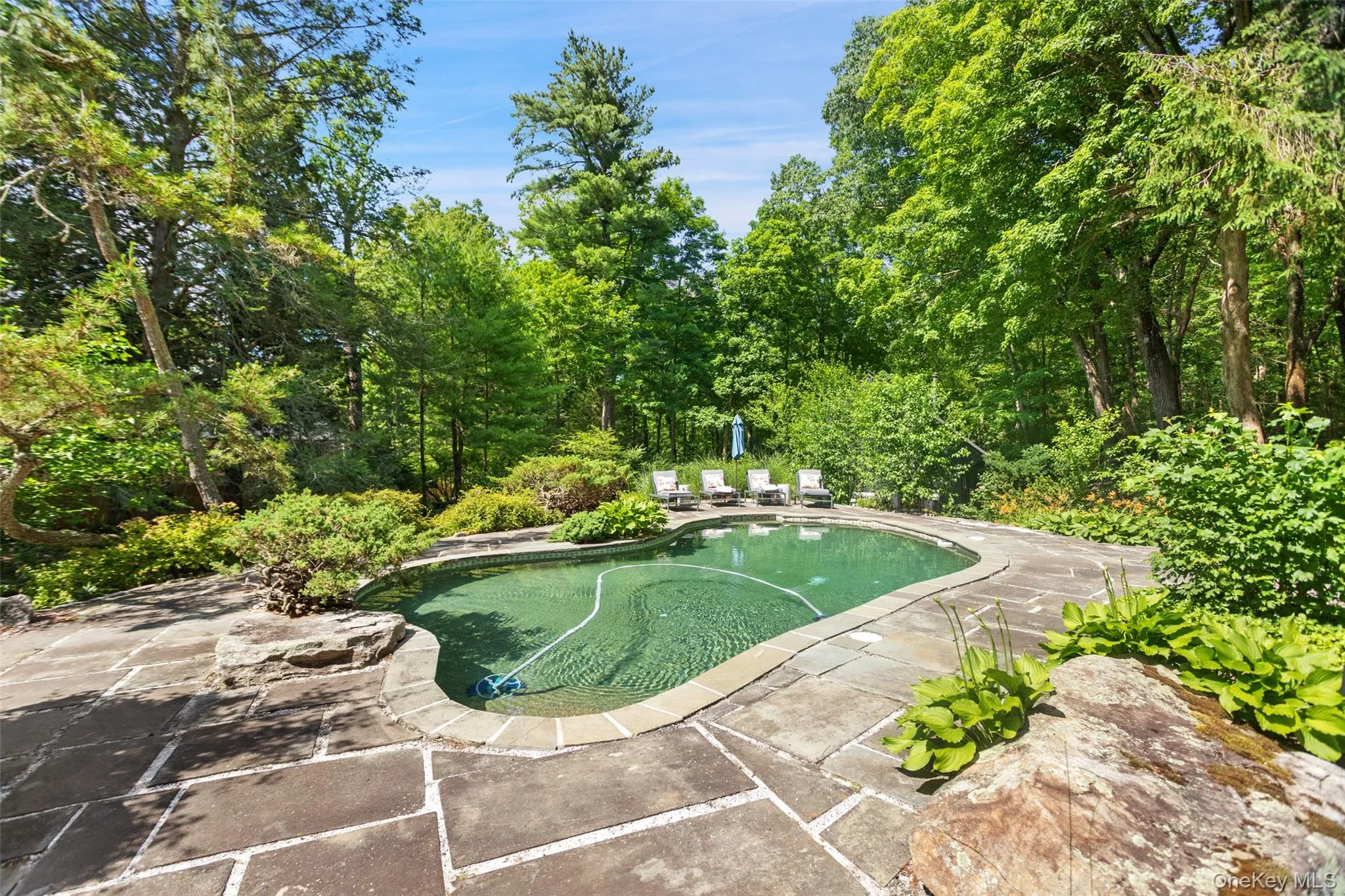 35 Old Snake Hill Road, Pound Ridge, NY, 4 Bedrooms Bedrooms, 12 Rooms Rooms,5 BathroomsBathrooms,Residential,For Rent,Old Snake Hill,0,1019164 35 Old Snake Hill Road, Pound Ridge, NY, 4 Bedrooms Bedrooms, 12 Rooms Rooms,5 BathroomsBathrooms,Residential,For Rent,Old Snake Hill,0,1019164