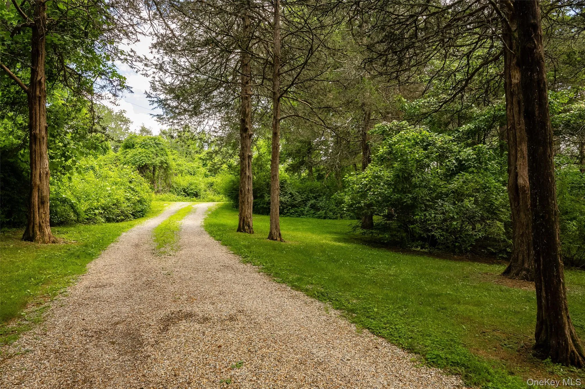 15 Horseshoe Lane, North East, NY, 4 Bedrooms Bedrooms, 12 Rooms Rooms,2 BathroomsBathrooms,Residential,For Rent,Horseshoe,0,1019167 15 Horseshoe Lane, North East, NY, 4 Bedrooms Bedrooms, 12 Rooms Rooms,2 BathroomsBathrooms,Residential,For Rent,Horseshoe,0,1019167