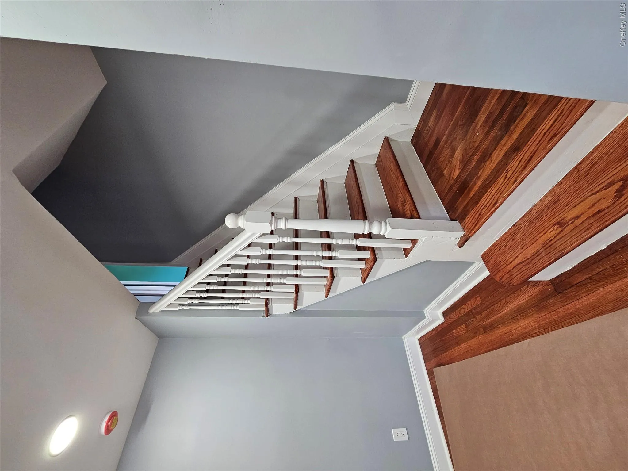 16543 144th Terrace, New York, NY, 3 Bedrooms Bedrooms, 8 Rooms Rooms,3 BathroomsBathrooms,Residential,For Rent,144th,0,1019168 16543 144th Terrace, New York, NY, 3 Bedrooms Bedrooms, 8 Rooms Rooms,3 BathroomsBathrooms,Residential,For Rent,144th,0,1019168