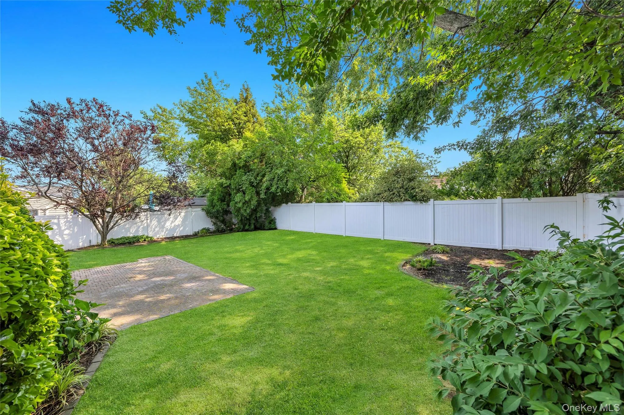 Backyard Backyard