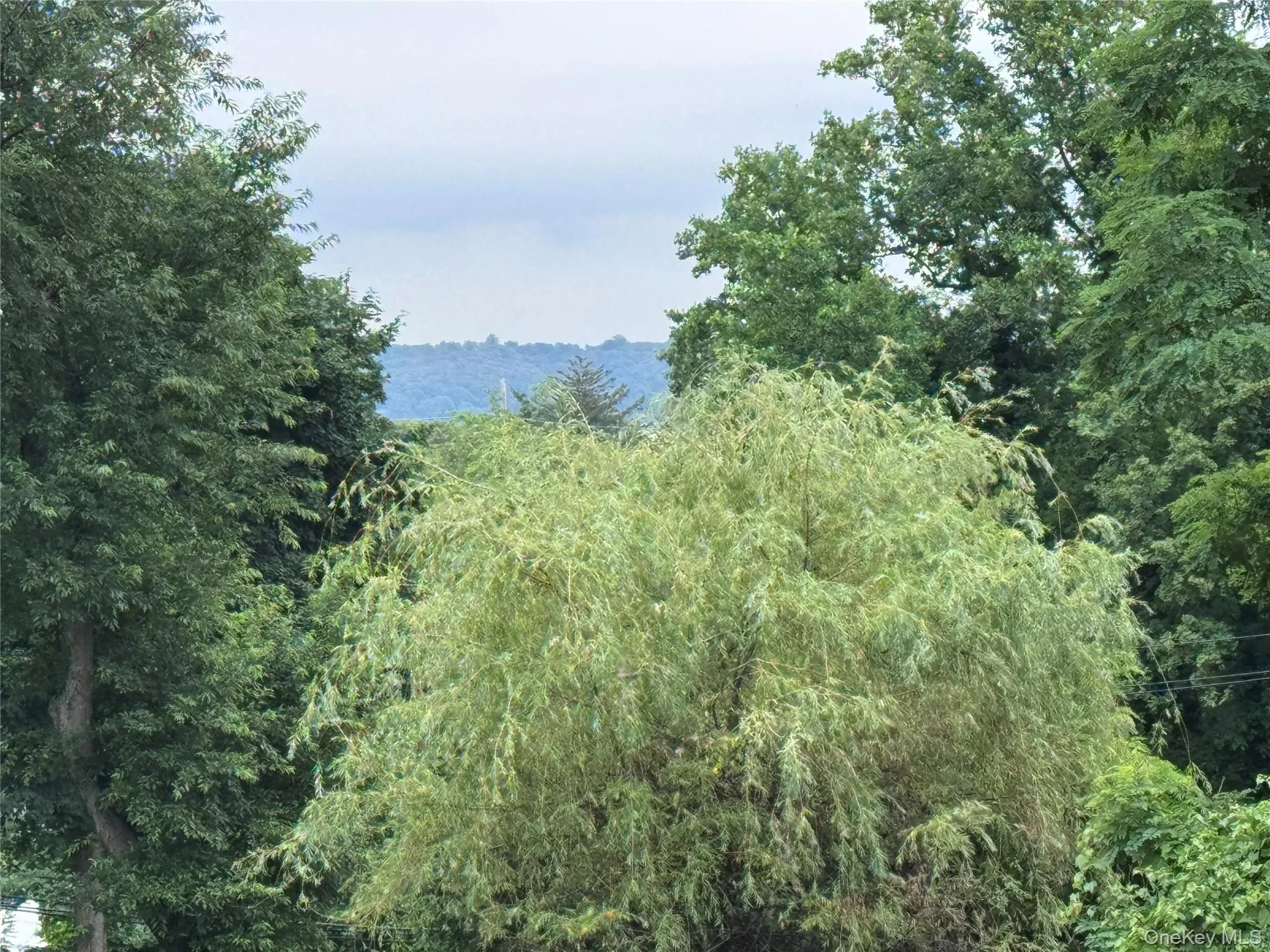 314 Mill Hill Road, Oyster Bay, NY, 7 Bedrooms Bedrooms, 20 Rooms Rooms,6 BathroomsBathrooms,Residential,For Rent,Mill Hill,0,KEY1019177 314 Mill Hill Road, Oyster Bay, NY, 7 Bedrooms Bedrooms, 20 Rooms Rooms,6 BathroomsBathrooms,Residential,For Rent,Mill Hill,0,KEY1019177