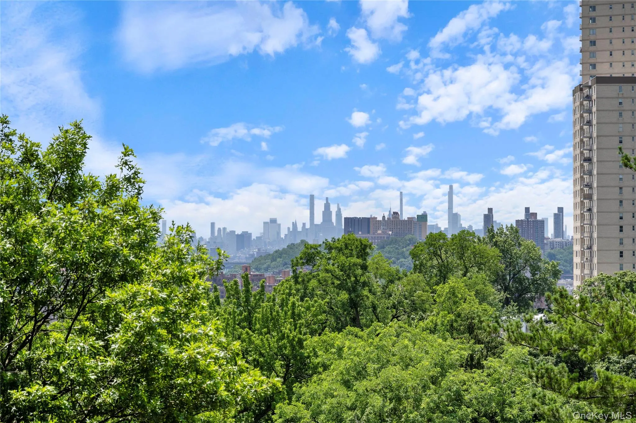 Expansive cityscape backdrop featuring a distant urban skyline Expansive cityscape backdrop featuring a distant urban skyline