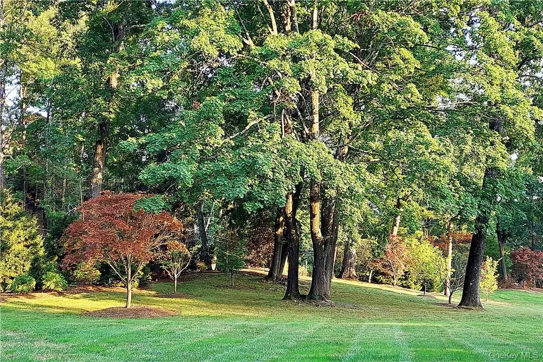 118 Tower Hill Road, Tuxedo, NY, 9 Bedrooms Bedrooms, 12 Rooms Rooms,7 BathroomsBathrooms,Residential,For Rent,Tower Hill,0,1019191 118 Tower Hill Road, Tuxedo, NY, 9 Bedrooms Bedrooms, 12 Rooms Rooms,7 BathroomsBathrooms,Residential,For Rent,Tower Hill,0,1019191
