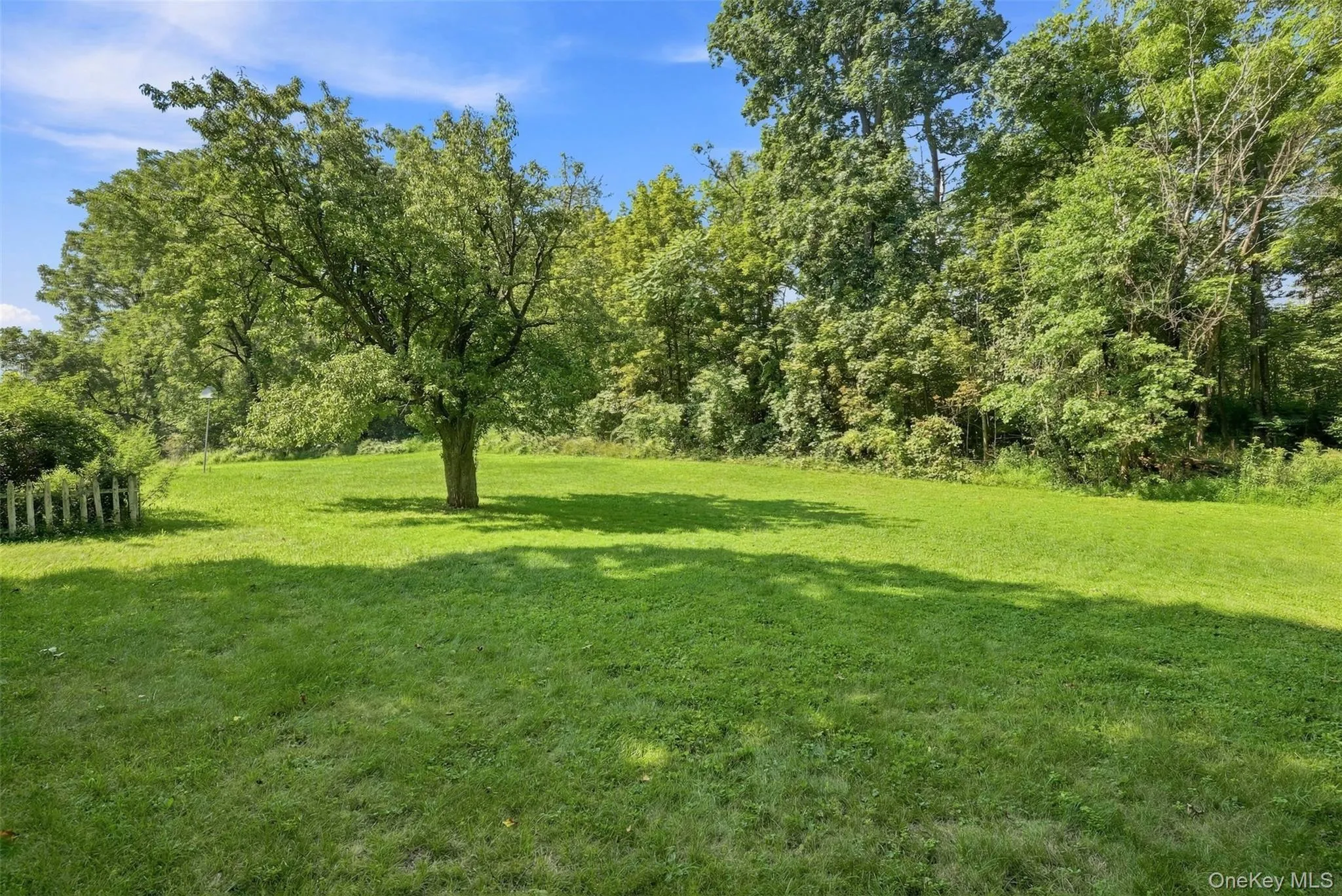 4073 Route 9W, Saugerties, NY, 3 Bedrooms Bedrooms, 9 Rooms Rooms,1 BathroomBathrooms,Residential,For Rent,Route 9W,0,1019192 4073 Route 9W, Saugerties, NY, 3 Bedrooms Bedrooms, 9 Rooms Rooms,1 BathroomBathrooms,Residential,For Rent,Route 9W,0,1019192