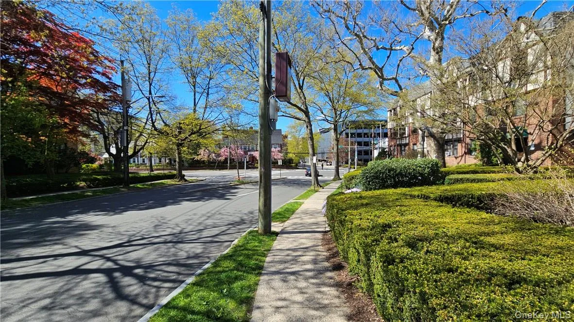 3 Greenridge Avenue, White Plains, NY, 1 Bedroom Bedrooms, 3 Rooms Rooms,1 BathroomBathrooms,Residential Lease,For Rent,Greenridge,0,1019199 3 Greenridge Avenue, White Plains, NY, 1 Bedroom Bedrooms, 3 Rooms Rooms,1 BathroomBathrooms,Residential Lease,For Rent,Greenridge,0,1019199