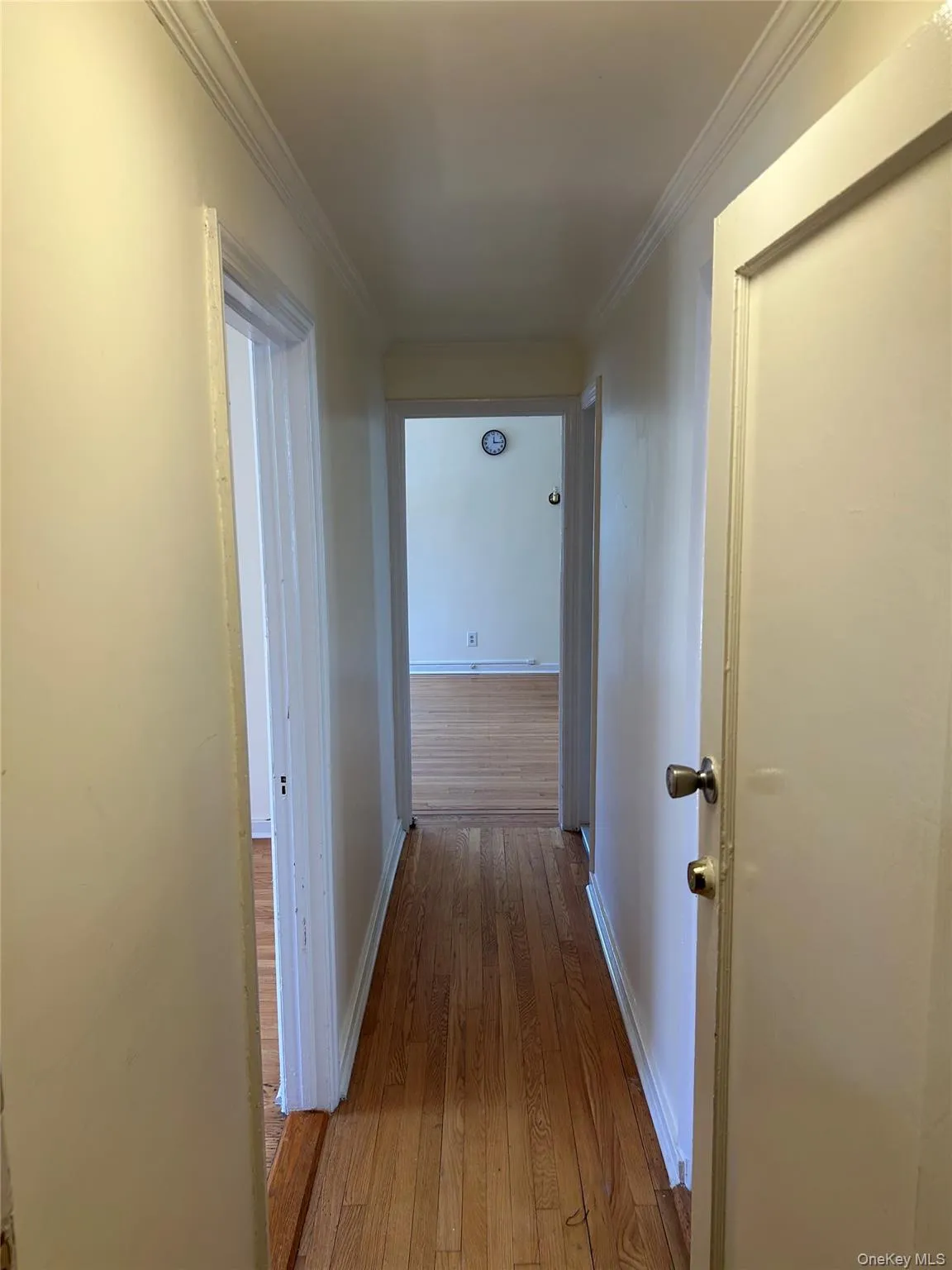 1585 New York Ave, New York, NY, 2 Bedrooms Bedrooms, 3 Rooms Rooms,1 BathroomBathrooms,Residential Lease,For Rent,New York Ave,0,1019215 1585 New York Ave, New York, NY, 2 Bedrooms Bedrooms, 3 Rooms Rooms,1 BathroomBathrooms,Residential Lease,For Rent,New York Ave,0,1019215