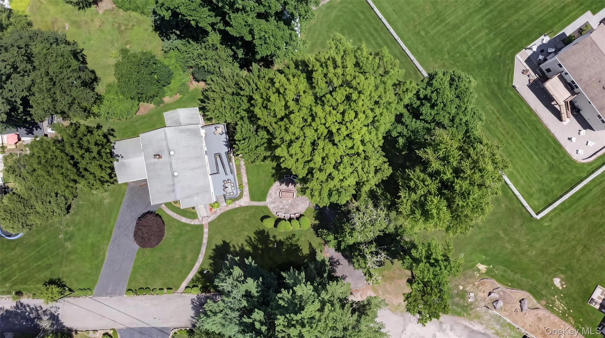 Expansive green grounds with mature trees and paved driveway Expansive green grounds with mature trees and paved driveway