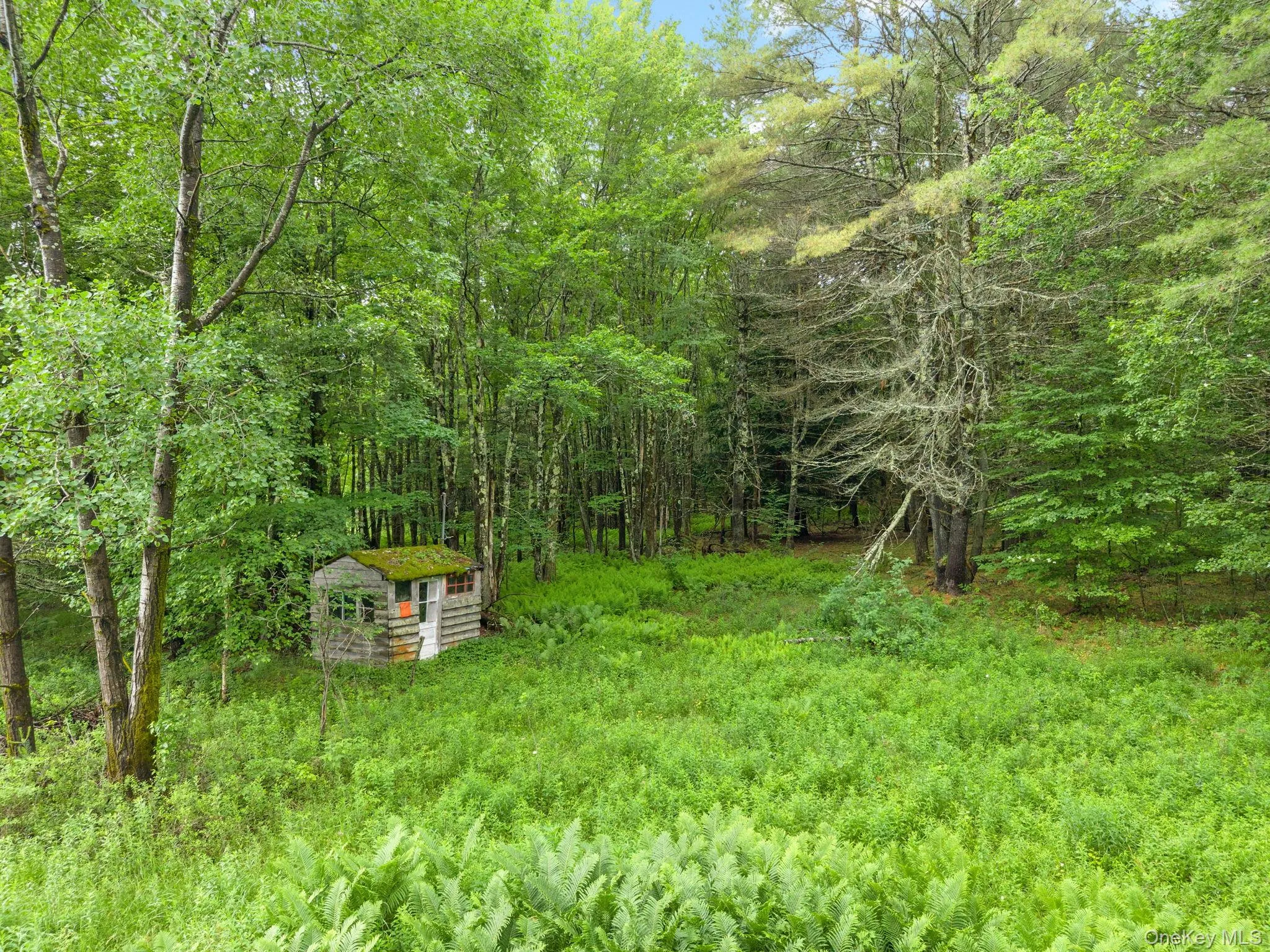 159 Ely Rd, Out Of Area, NY, 11 Bedrooms Bedrooms, 21 Rooms Rooms,3 BathroomsBathrooms,Residential,For Rent,Ely Rd,0,1019232 159 Ely Rd, Out Of Area, NY, 11 Bedrooms Bedrooms, 21 Rooms Rooms,3 BathroomsBathrooms,Residential,For Rent,Ely Rd,0,1019232