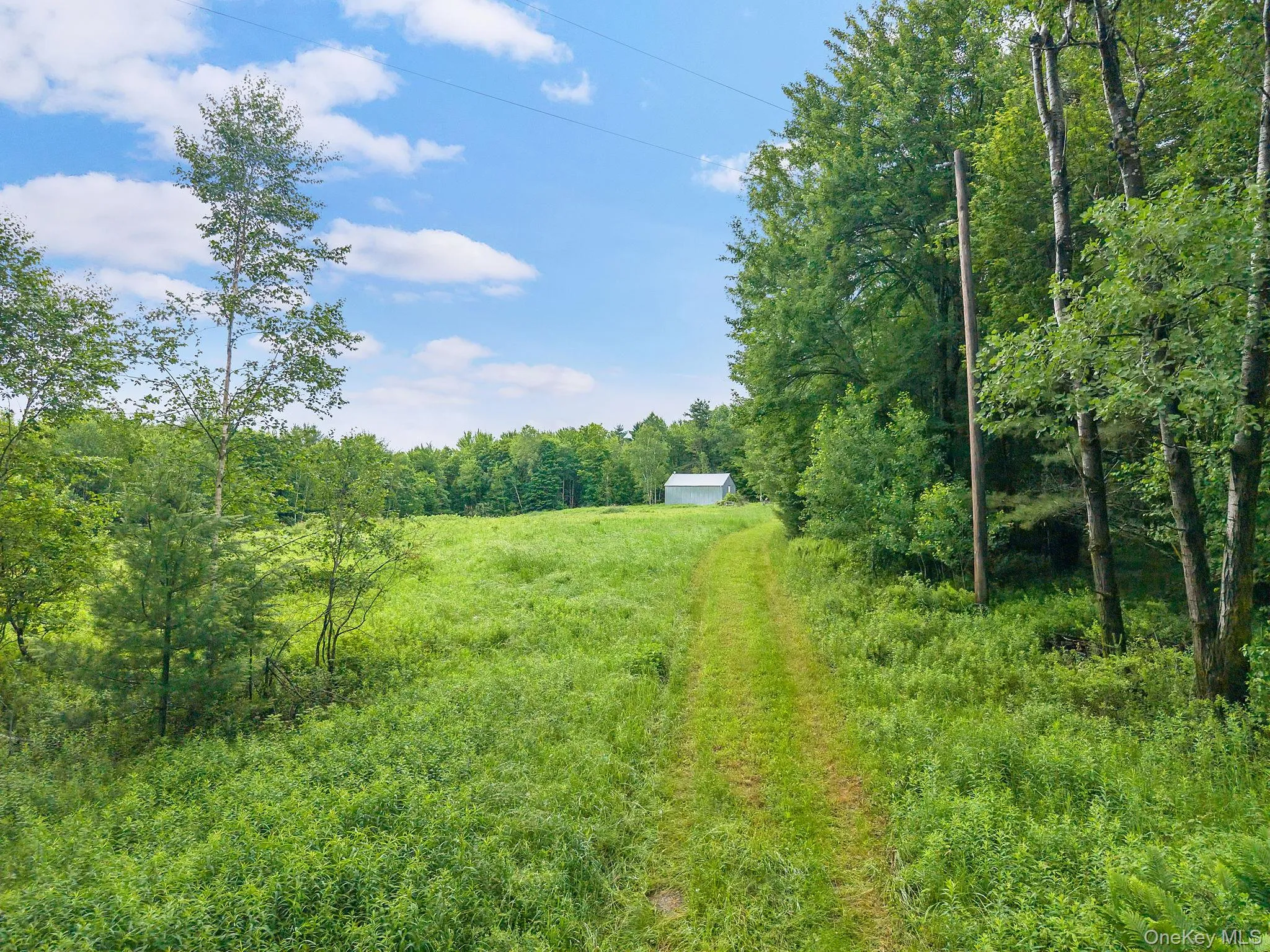 159 Ely Rd, Out Of Area, NY, 11 Bedrooms Bedrooms, 21 Rooms Rooms,3 BathroomsBathrooms,Residential,For Rent,Ely Rd,0,1019232 159 Ely Rd, Out Of Area, NY, 11 Bedrooms Bedrooms, 21 Rooms Rooms,3 BathroomsBathrooms,Residential,For Rent,Ely Rd,0,1019232