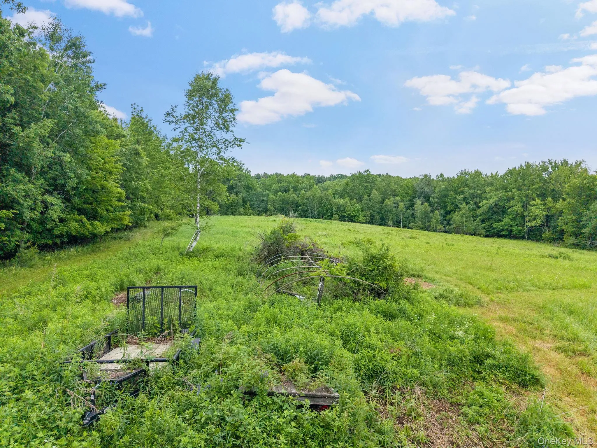 159 Ely Rd, Out Of Area, NY, 11 Bedrooms Bedrooms, 21 Rooms Rooms,3 BathroomsBathrooms,Residential,For Rent,Ely Rd,0,1019232 159 Ely Rd, Out Of Area, NY, 11 Bedrooms Bedrooms, 21 Rooms Rooms,3 BathroomsBathrooms,Residential,For Rent,Ely Rd,0,1019232