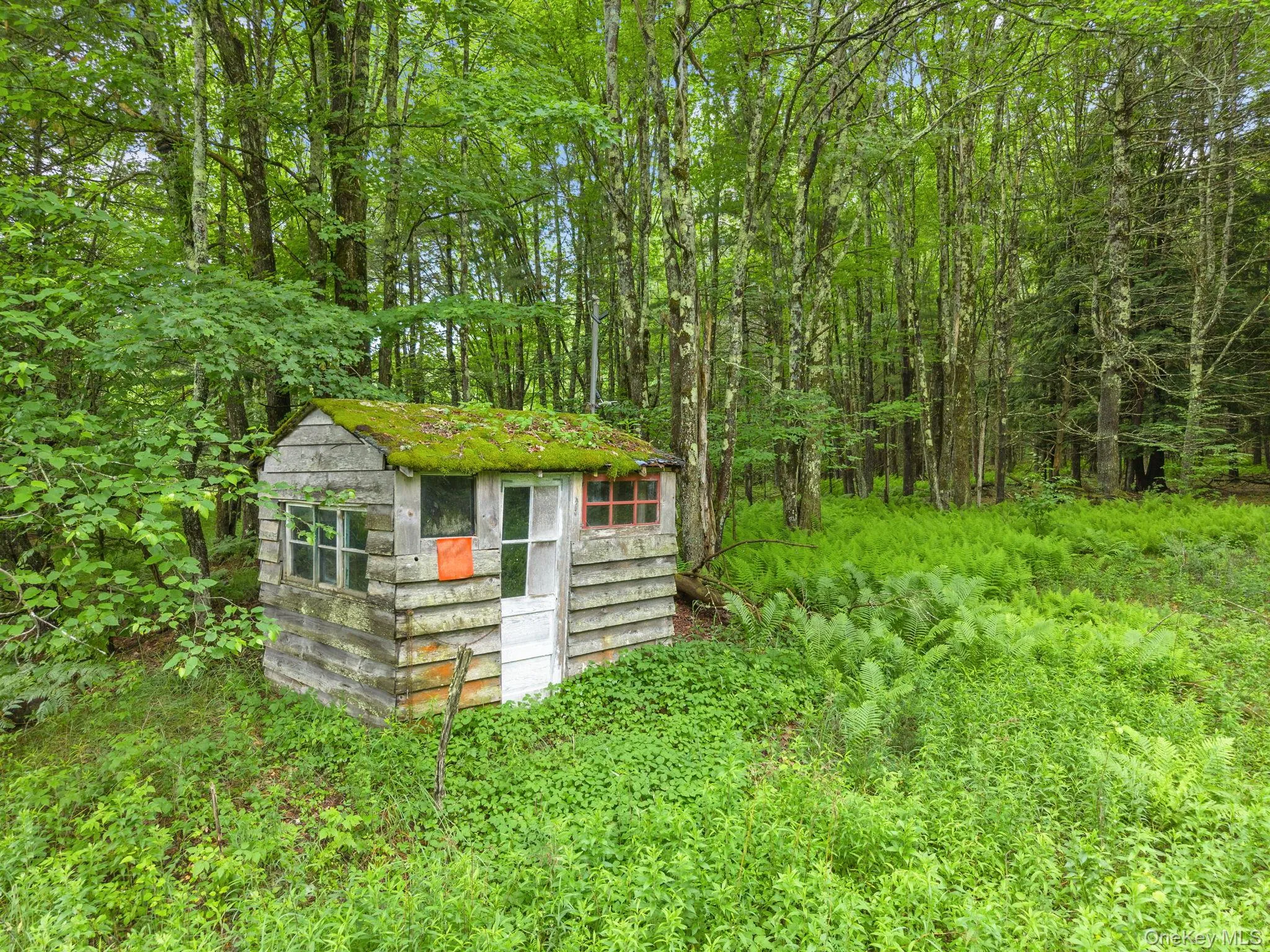159 Ely Rd, Out Of Area, NY, 11 Bedrooms Bedrooms, 21 Rooms Rooms,3 BathroomsBathrooms,Residential,For Rent,Ely Rd,0,1019232 159 Ely Rd, Out Of Area, NY, 11 Bedrooms Bedrooms, 21 Rooms Rooms,3 BathroomsBathrooms,Residential,For Rent,Ely Rd,0,1019232