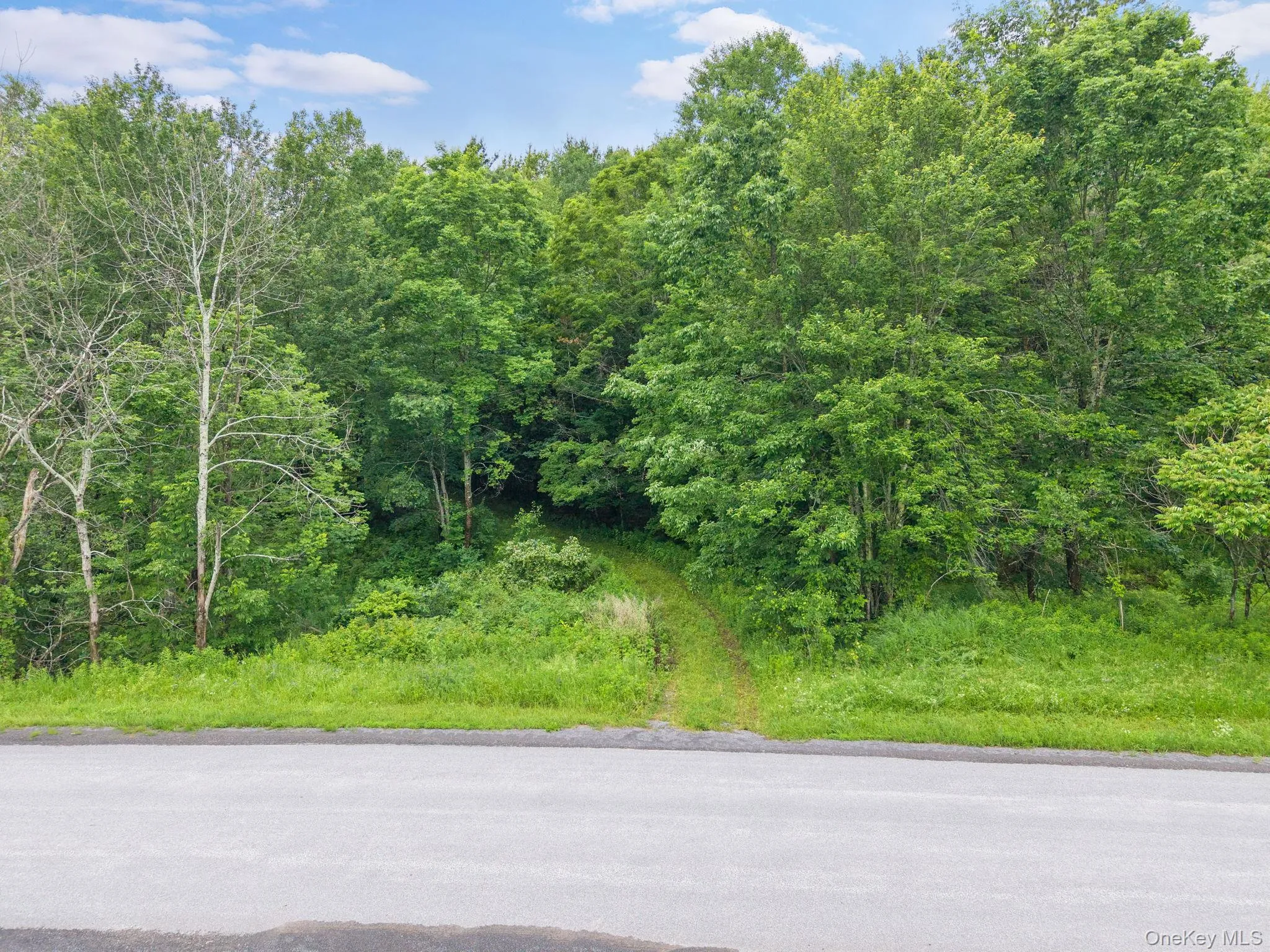 159 Ely Rd, Out Of Area, NY, 11 Bedrooms Bedrooms, 21 Rooms Rooms,3 BathroomsBathrooms,Residential,For Rent,Ely Rd,0,1019232 159 Ely Rd, Out Of Area, NY, 11 Bedrooms Bedrooms, 21 Rooms Rooms,3 BathroomsBathrooms,Residential,For Rent,Ely Rd,0,1019232