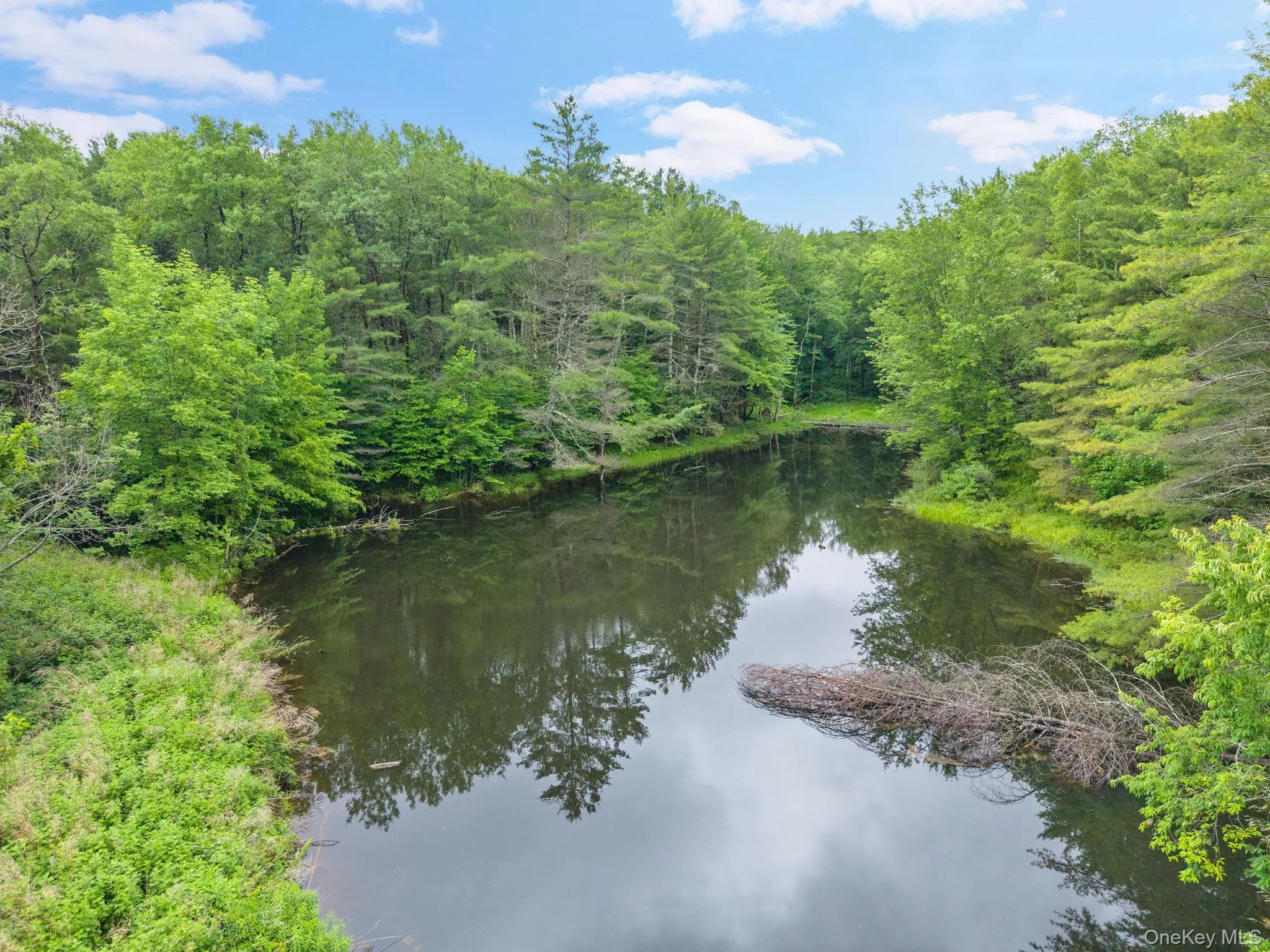 159 Ely Rd, Out Of Area, NY, 11 Bedrooms Bedrooms, 21 Rooms Rooms,3 BathroomsBathrooms,Residential,For Rent,Ely Rd,0,1019232 159 Ely Rd, Out Of Area, NY, 11 Bedrooms Bedrooms, 21 Rooms Rooms,3 BathroomsBathrooms,Residential,For Rent,Ely Rd,0,1019232