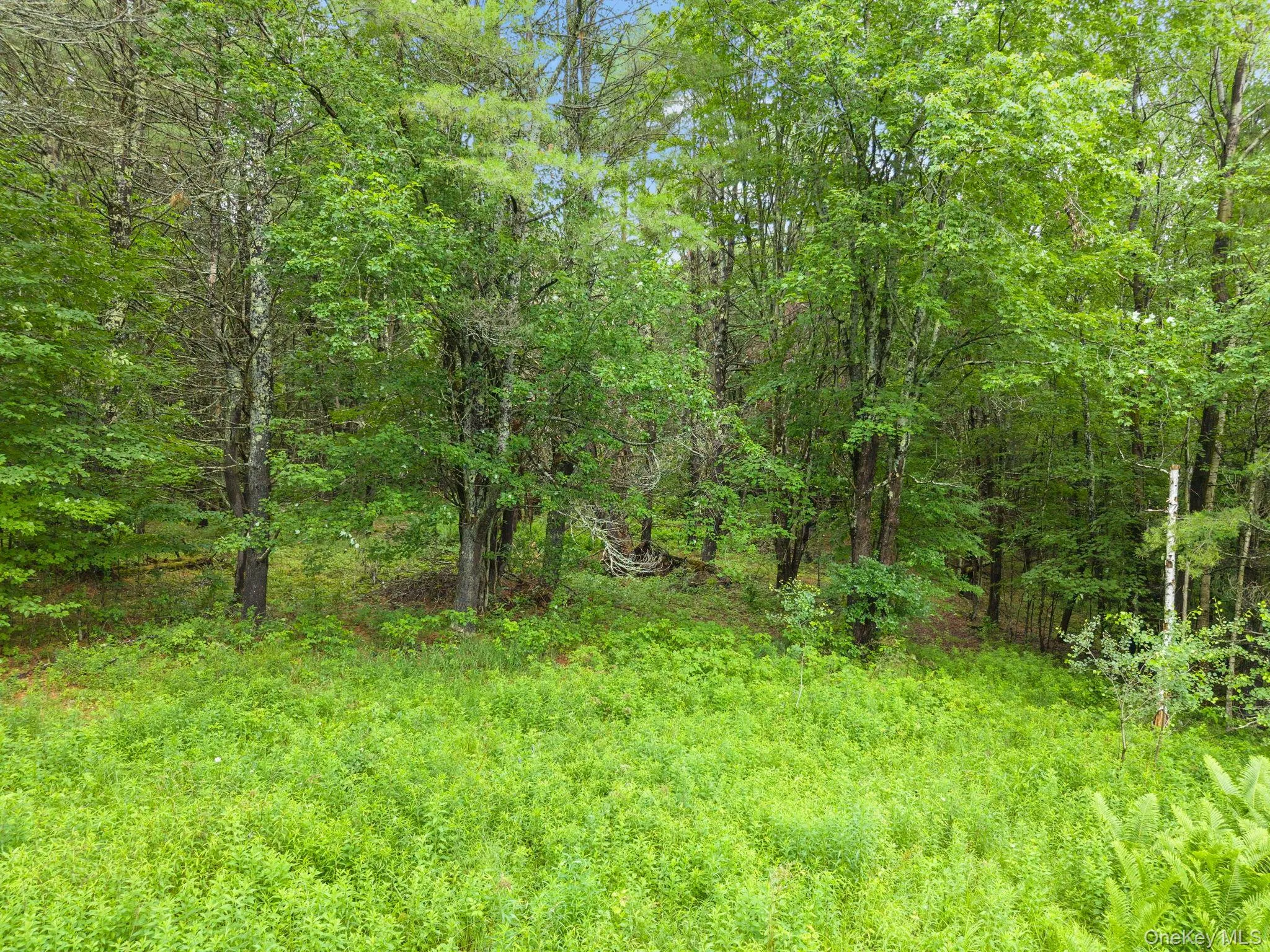 159 Ely Rd, Out Of Area, NY, 11 Bedrooms Bedrooms, 21 Rooms Rooms,3 BathroomsBathrooms,Residential,For Rent,Ely Rd,0,1019232 159 Ely Rd, Out Of Area, NY, 11 Bedrooms Bedrooms, 21 Rooms Rooms,3 BathroomsBathrooms,Residential,For Rent,Ely Rd,0,1019232