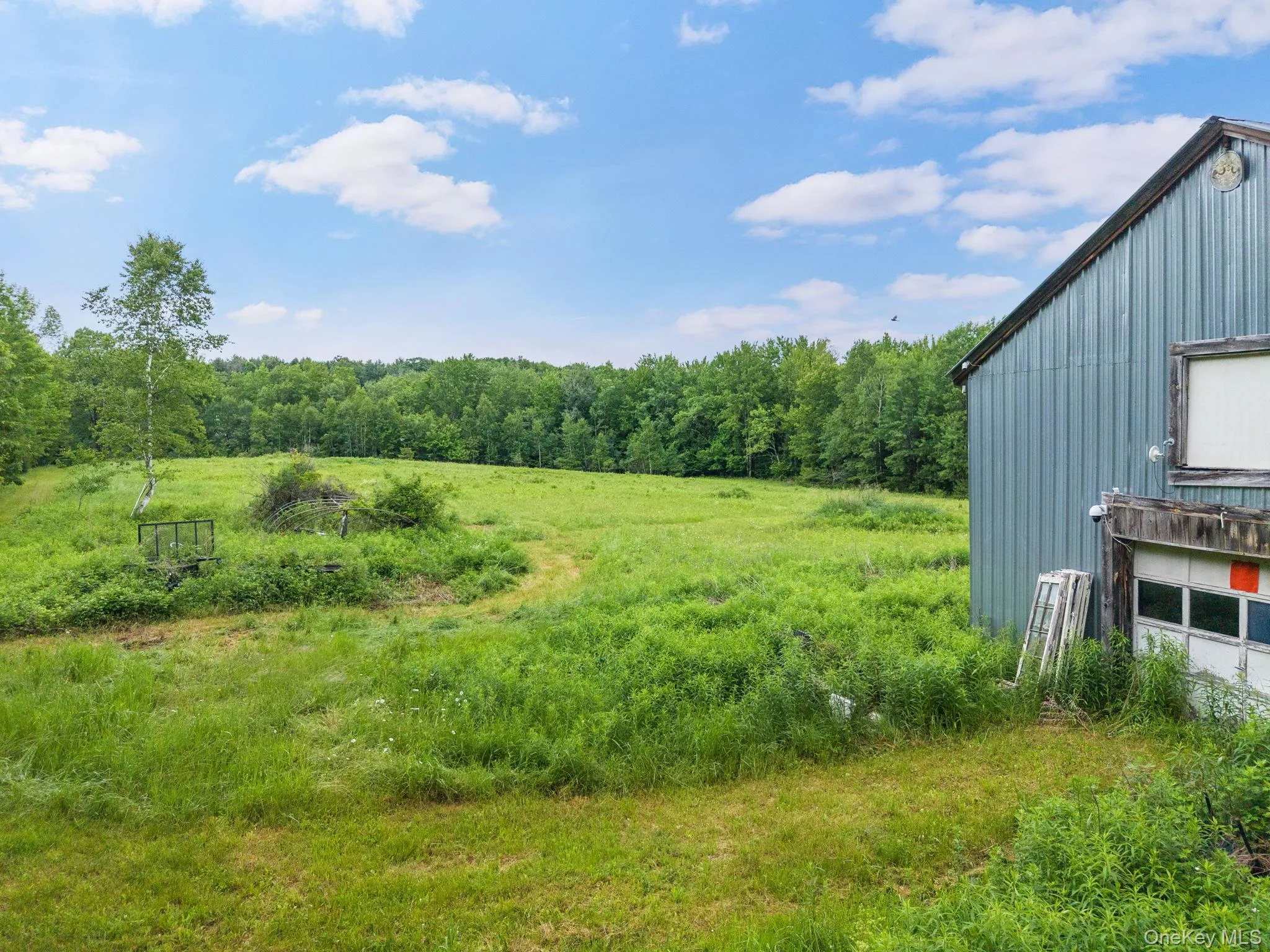 159 Ely Rd, Out Of Area, NY, 11 Bedrooms Bedrooms, 21 Rooms Rooms,3 BathroomsBathrooms,Residential,For Rent,Ely Rd,0,1019232 159 Ely Rd, Out Of Area, NY, 11 Bedrooms Bedrooms, 21 Rooms Rooms,3 BathroomsBathrooms,Residential,For Rent,Ely Rd,0,1019232