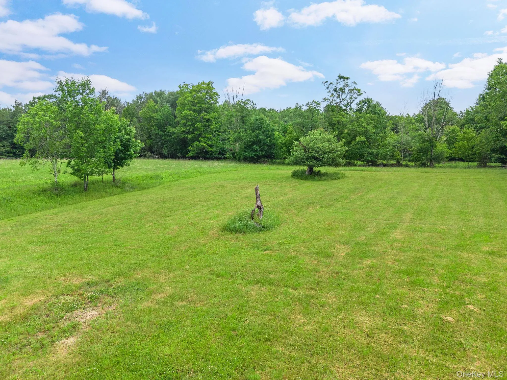 159 Ely Rd, Out Of Area, NY, 11 Bedrooms Bedrooms, 21 Rooms Rooms,3 BathroomsBathrooms,Residential,For Rent,Ely Rd,0,1019232 159 Ely Rd, Out Of Area, NY, 11 Bedrooms Bedrooms, 21 Rooms Rooms,3 BathroomsBathrooms,Residential,For Rent,Ely Rd,0,1019232