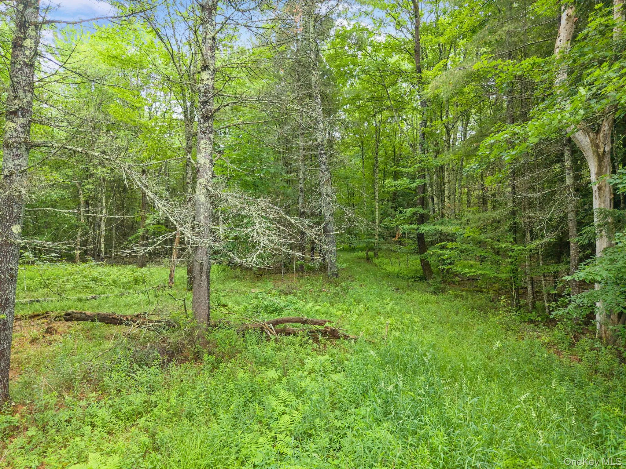 159 Ely Rd, Out Of Area, NY, 11 Bedrooms Bedrooms, 21 Rooms Rooms,3 BathroomsBathrooms,Residential,For Rent,Ely Rd,0,1019232 159 Ely Rd, Out Of Area, NY, 11 Bedrooms Bedrooms, 21 Rooms Rooms,3 BathroomsBathrooms,Residential,For Rent,Ely Rd,0,1019232