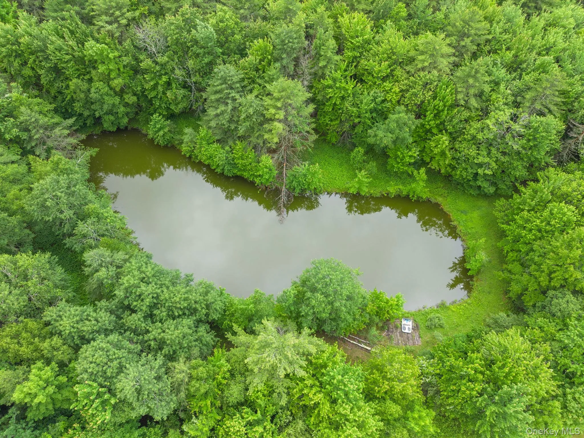159 Ely Rd, Out Of Area, NY, 11 Bedrooms Bedrooms, 21 Rooms Rooms,3 BathroomsBathrooms,Residential,For Rent,Ely Rd,0,1019232 159 Ely Rd, Out Of Area, NY, 11 Bedrooms Bedrooms, 21 Rooms Rooms,3 BathroomsBathrooms,Residential,For Rent,Ely Rd,0,1019232