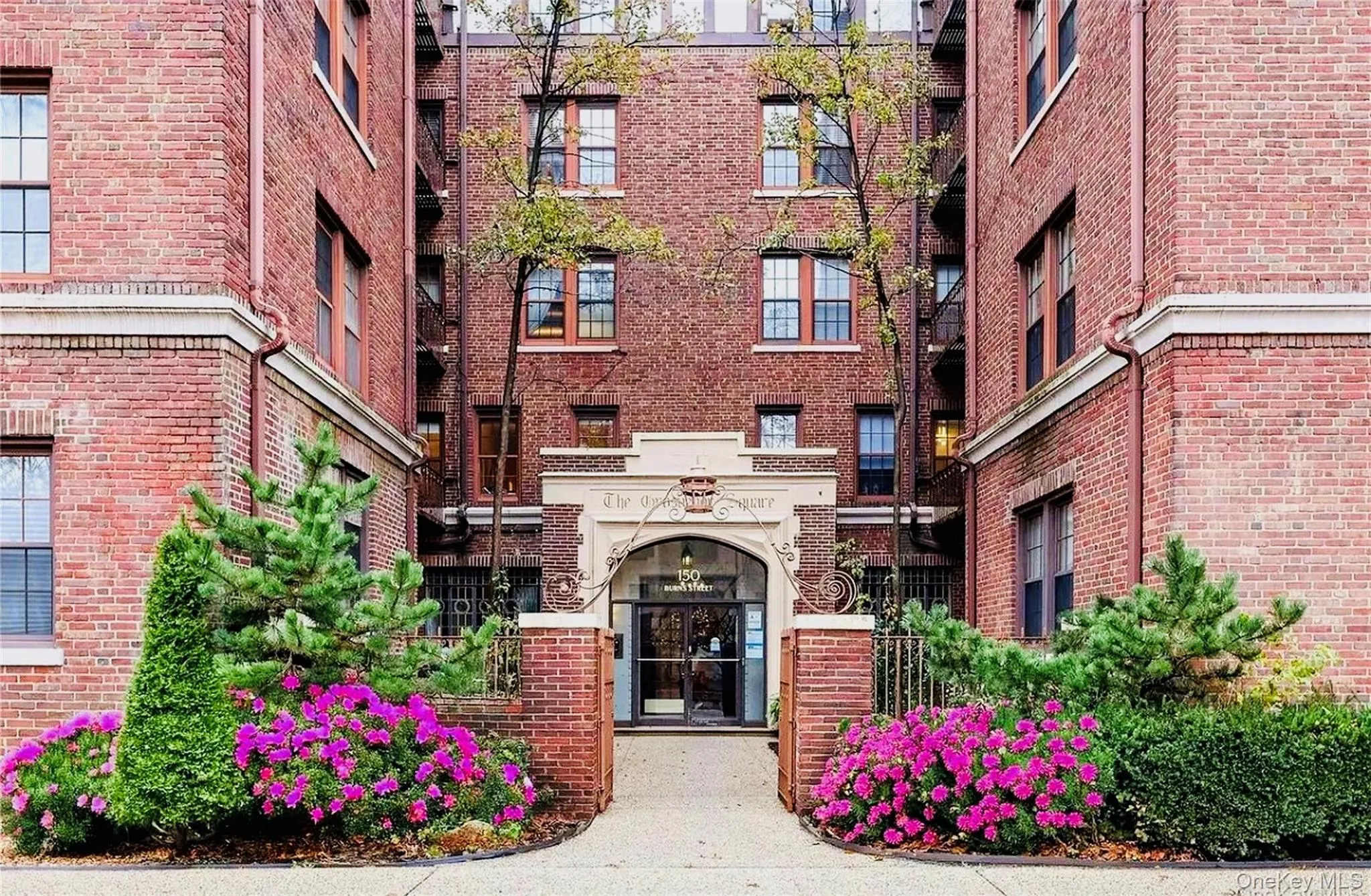 150 Burns Street, New York, NY, 3 Bedrooms Bedrooms, 6 Rooms Rooms,2 BathroomsBathrooms,Residential,For Rent,Burns,0,1019241 150 Burns Street, New York, NY, 3 Bedrooms Bedrooms, 6 Rooms Rooms,2 BathroomsBathrooms,Residential,For Rent,Burns,0,1019241