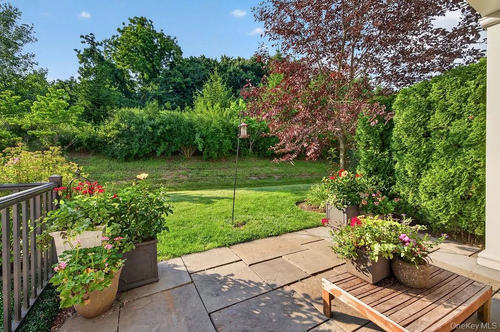 tranquil backyard views tranquil backyard views